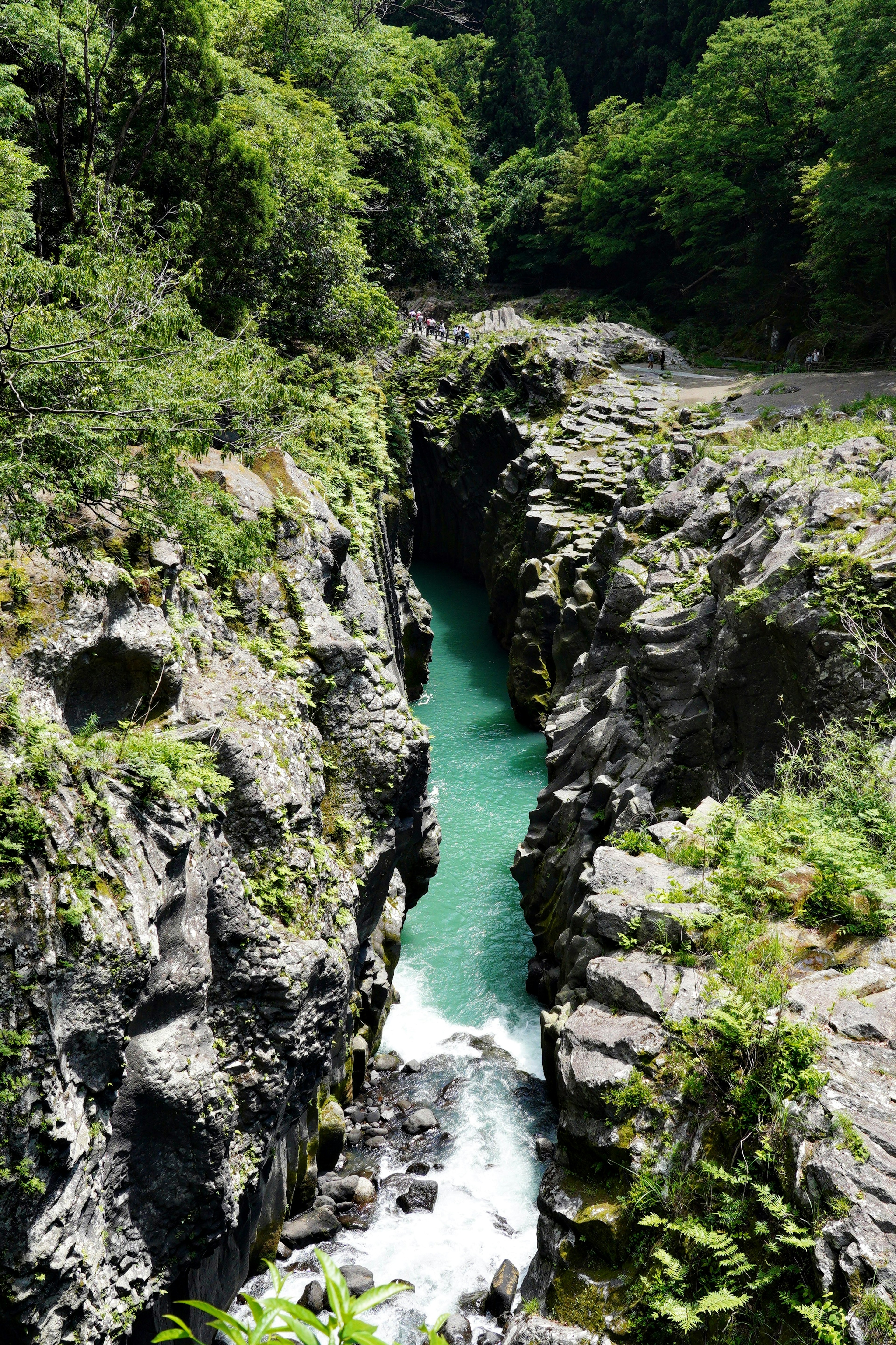 Gorge étroite entourée d'arbres verts avec un flot d'eau turquoise