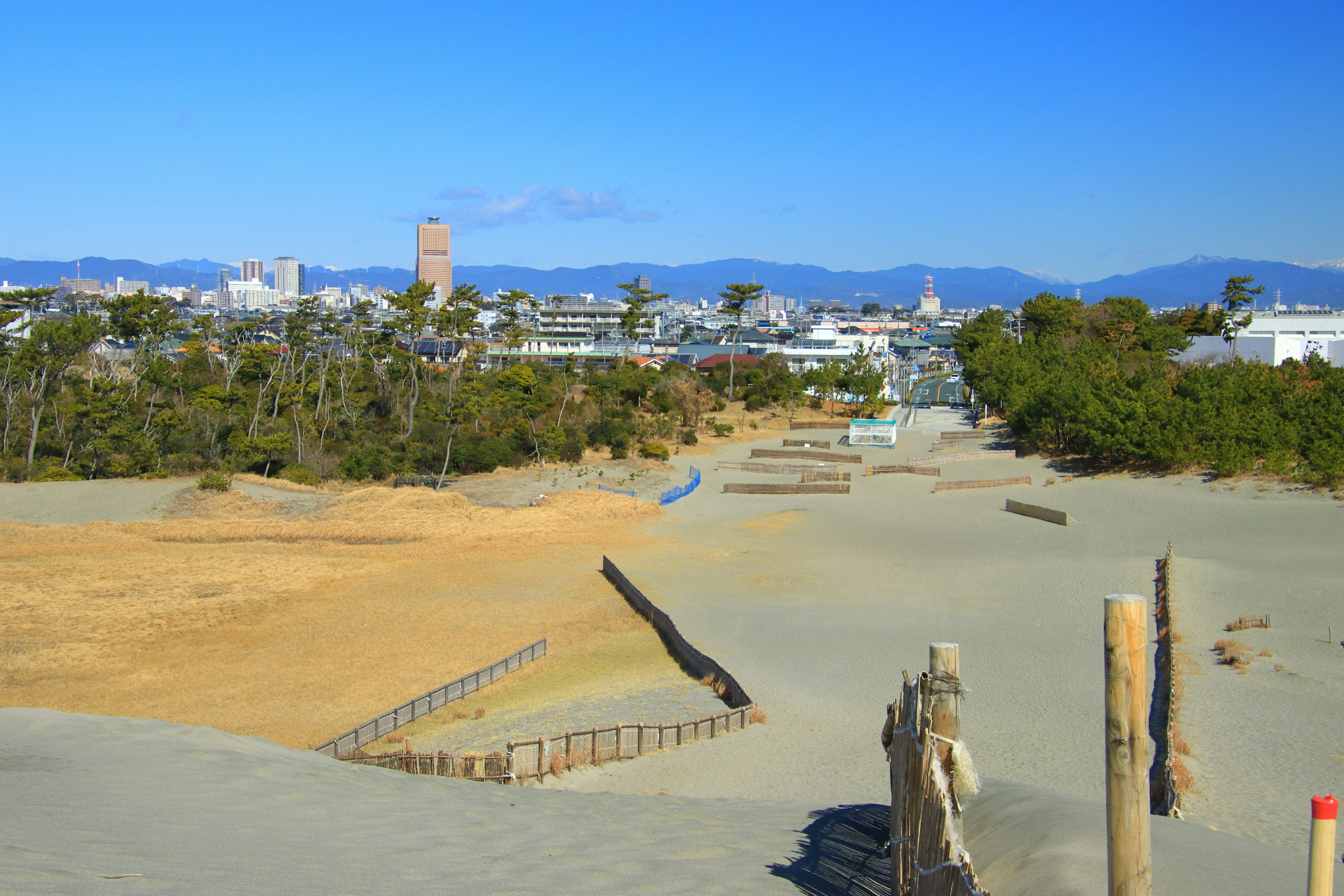 沙灘和海岸線的風景，附近有城市建築