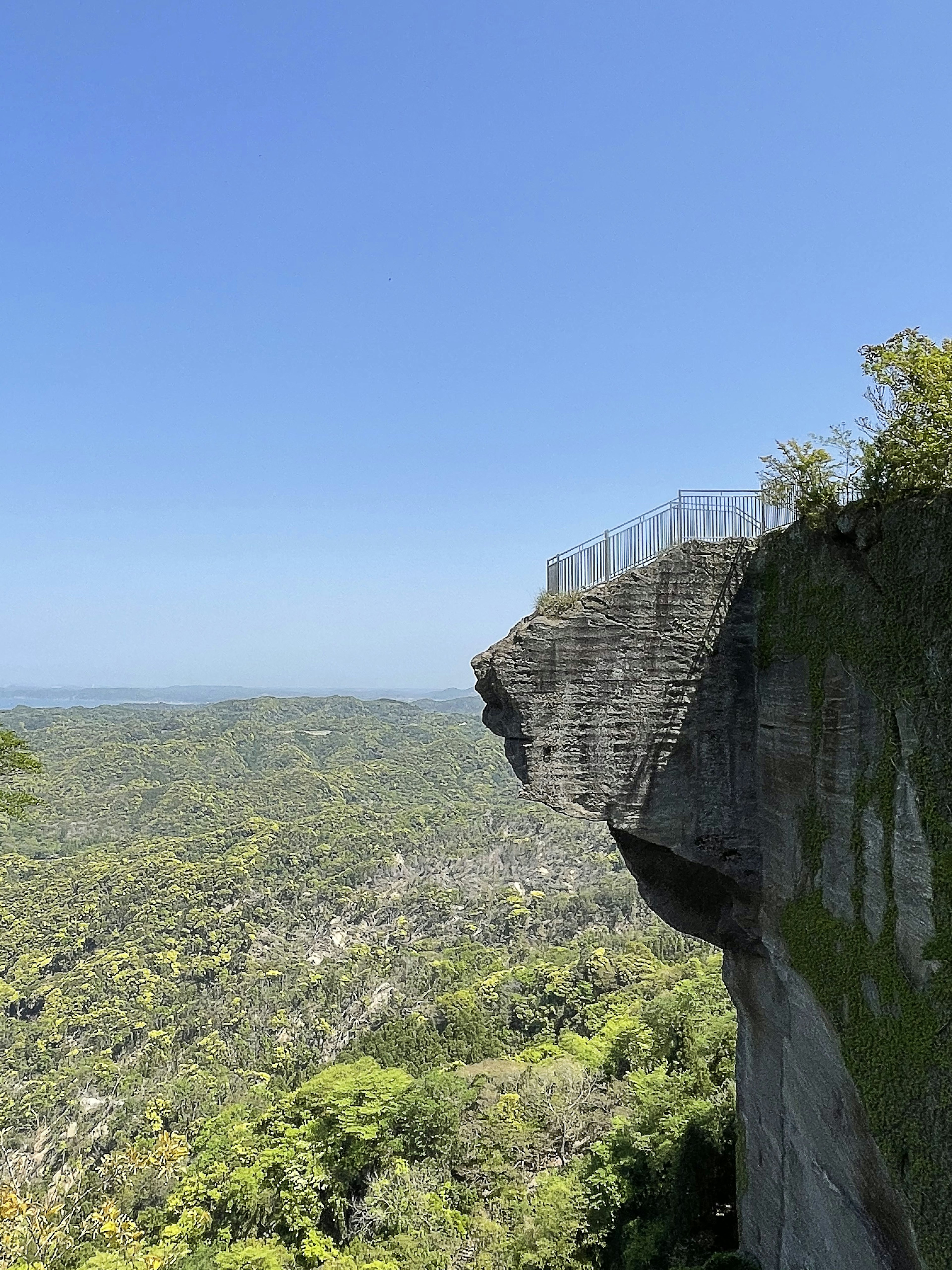 Une grande falaise rocheuse sous un ciel bleu clair et une vaste forêt verte