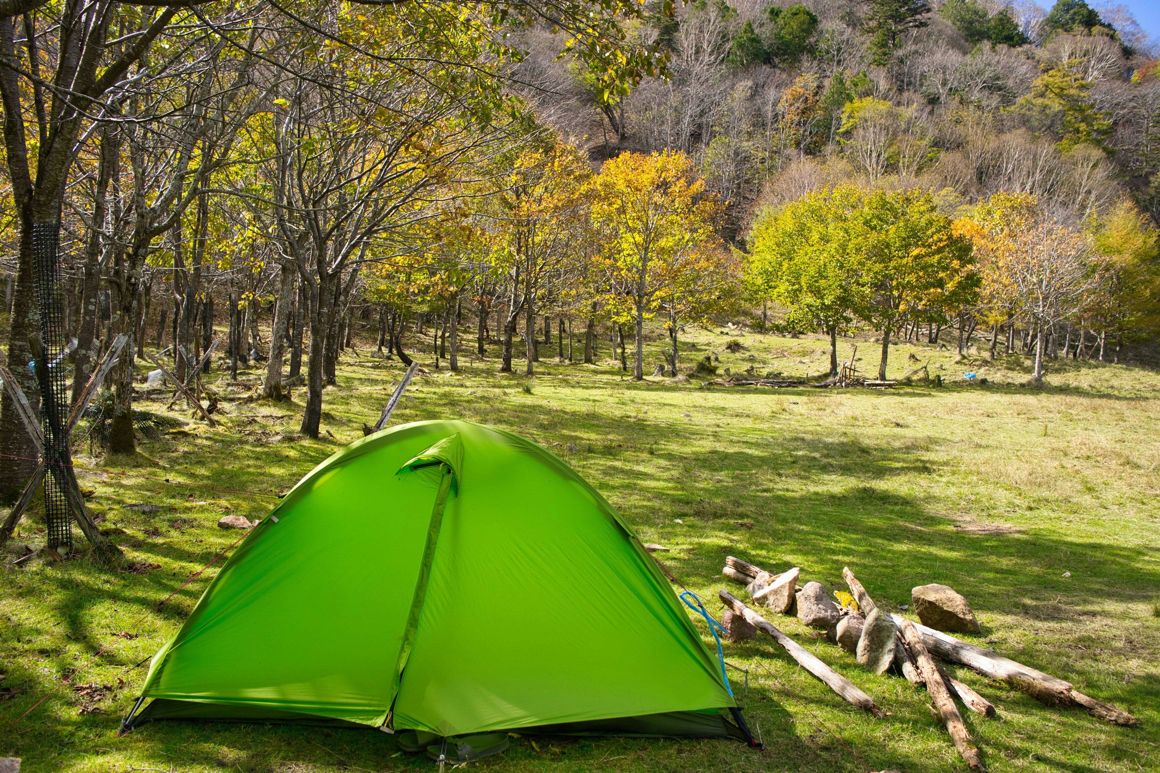 Green tent in a natural campsite with logs