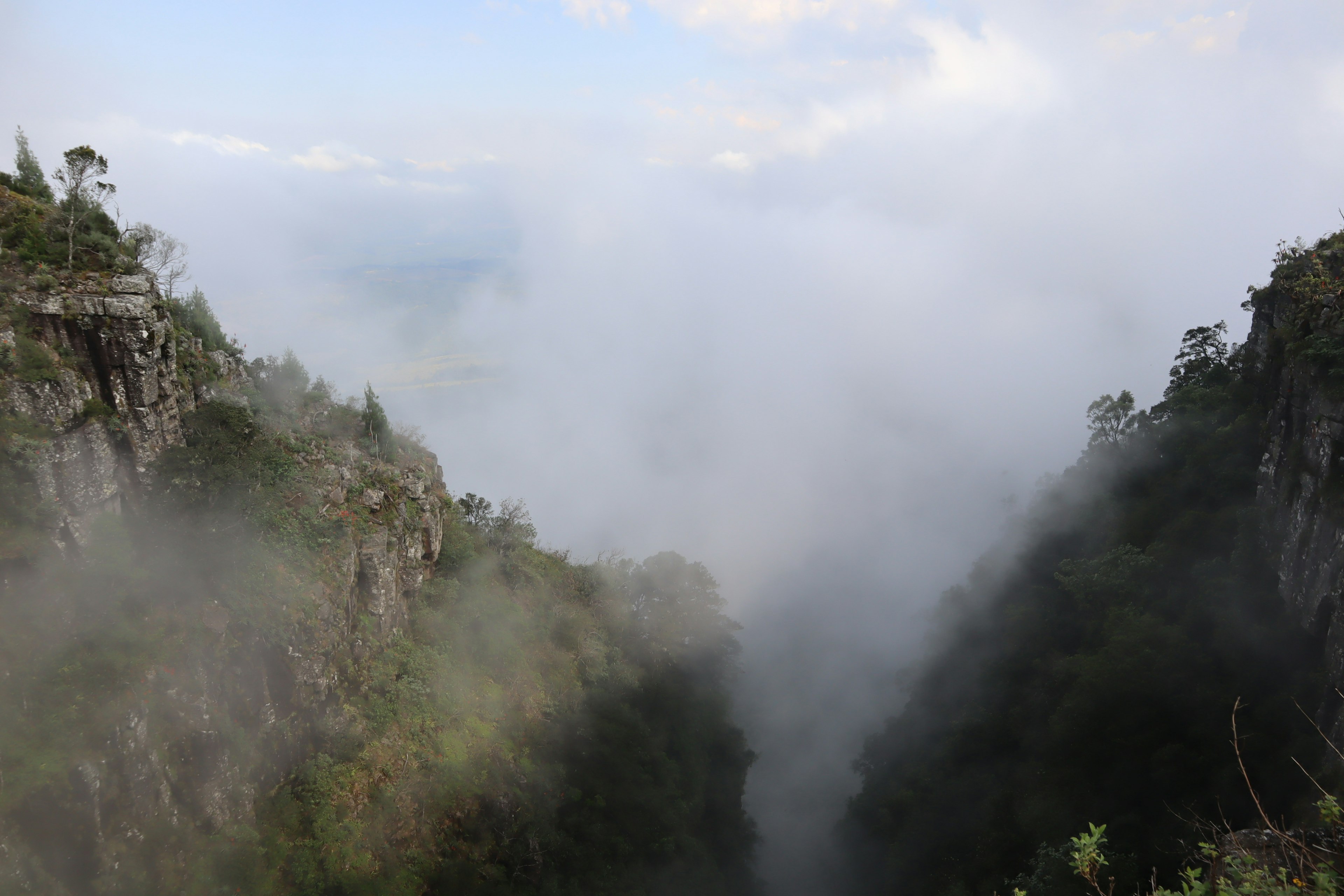 A deep valley landscape shrouded in mist