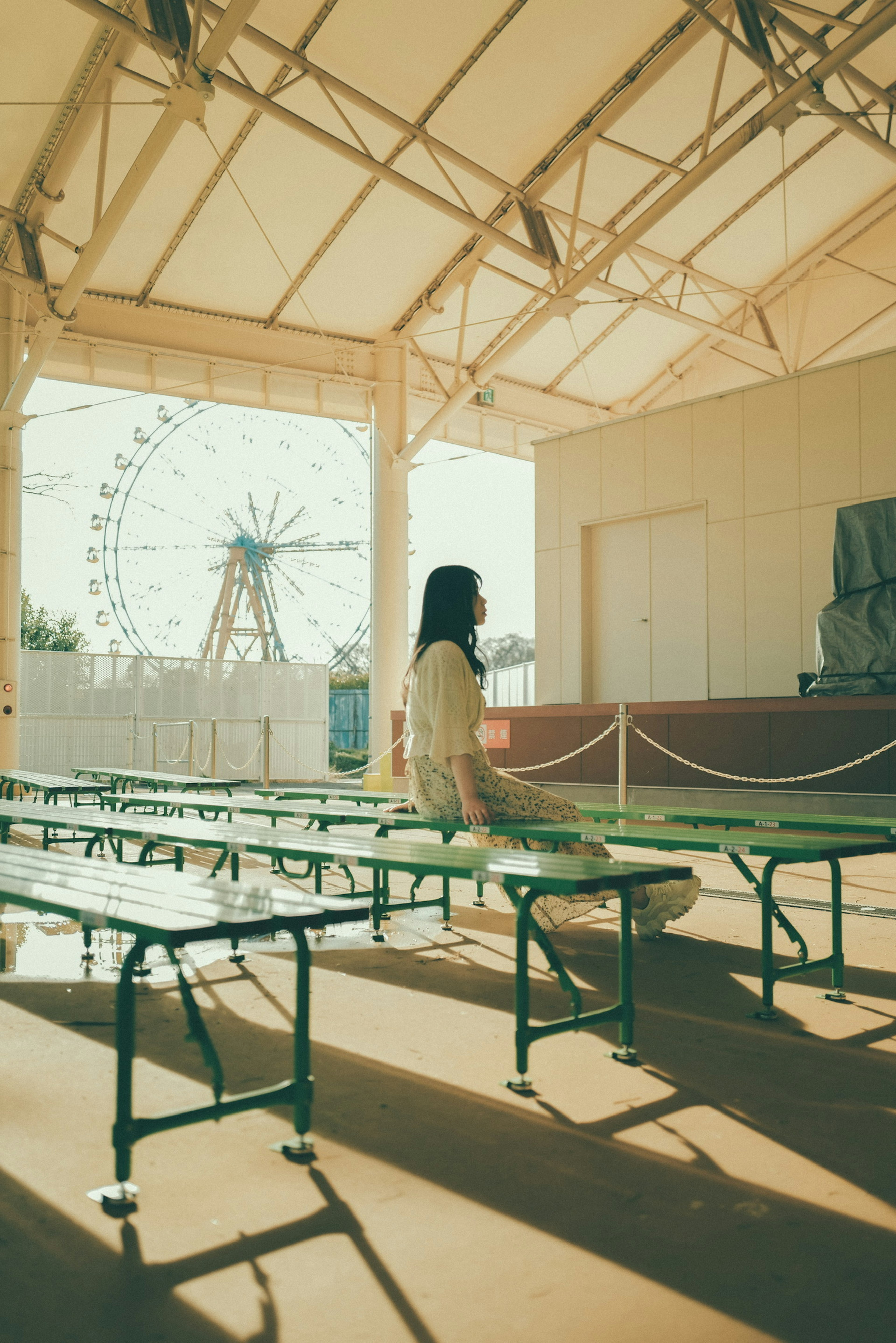 A woman sitting in an indoor space with a view of a Ferris wheel and green benches