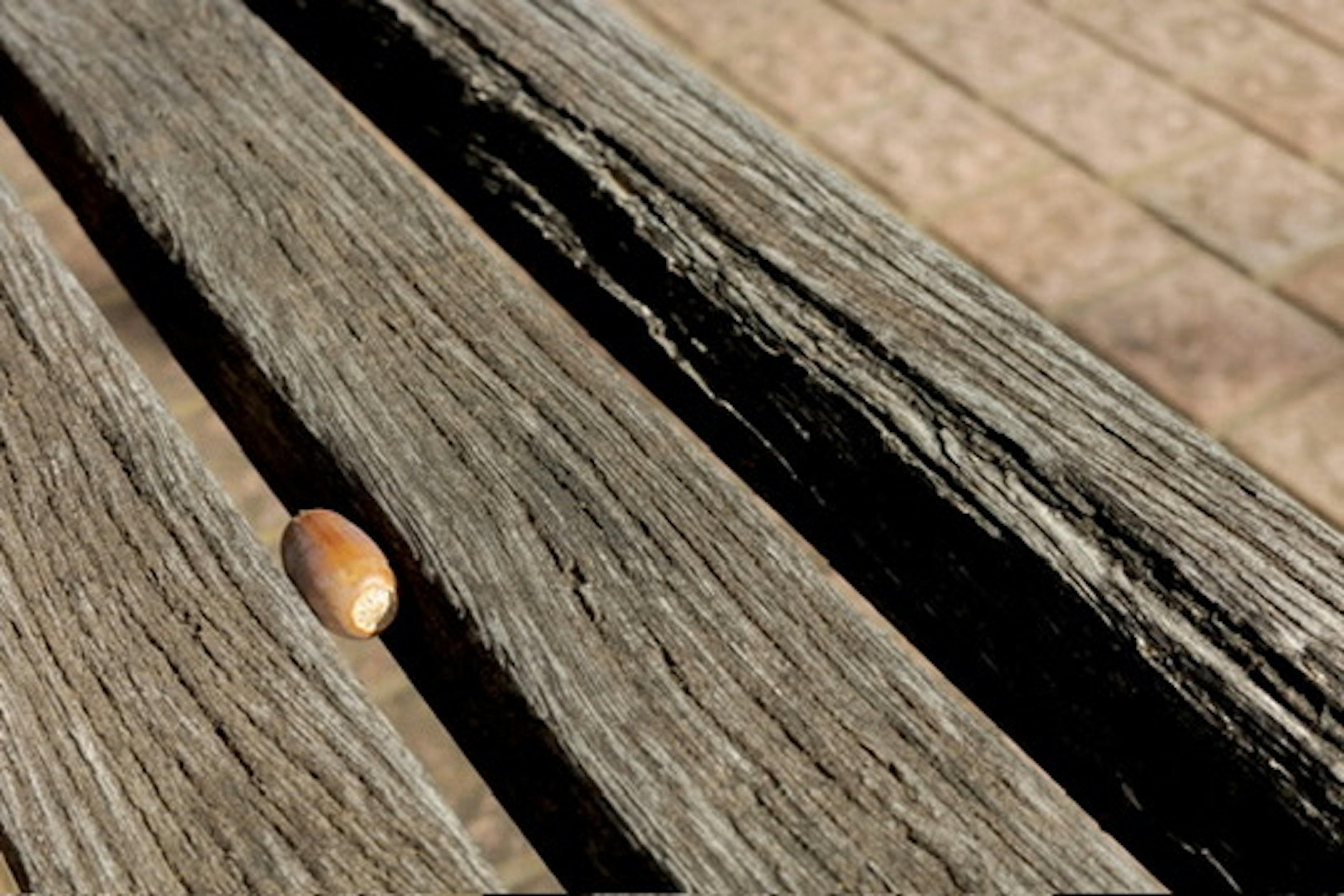 A small nut-like object resting in the gap of a wooden bench