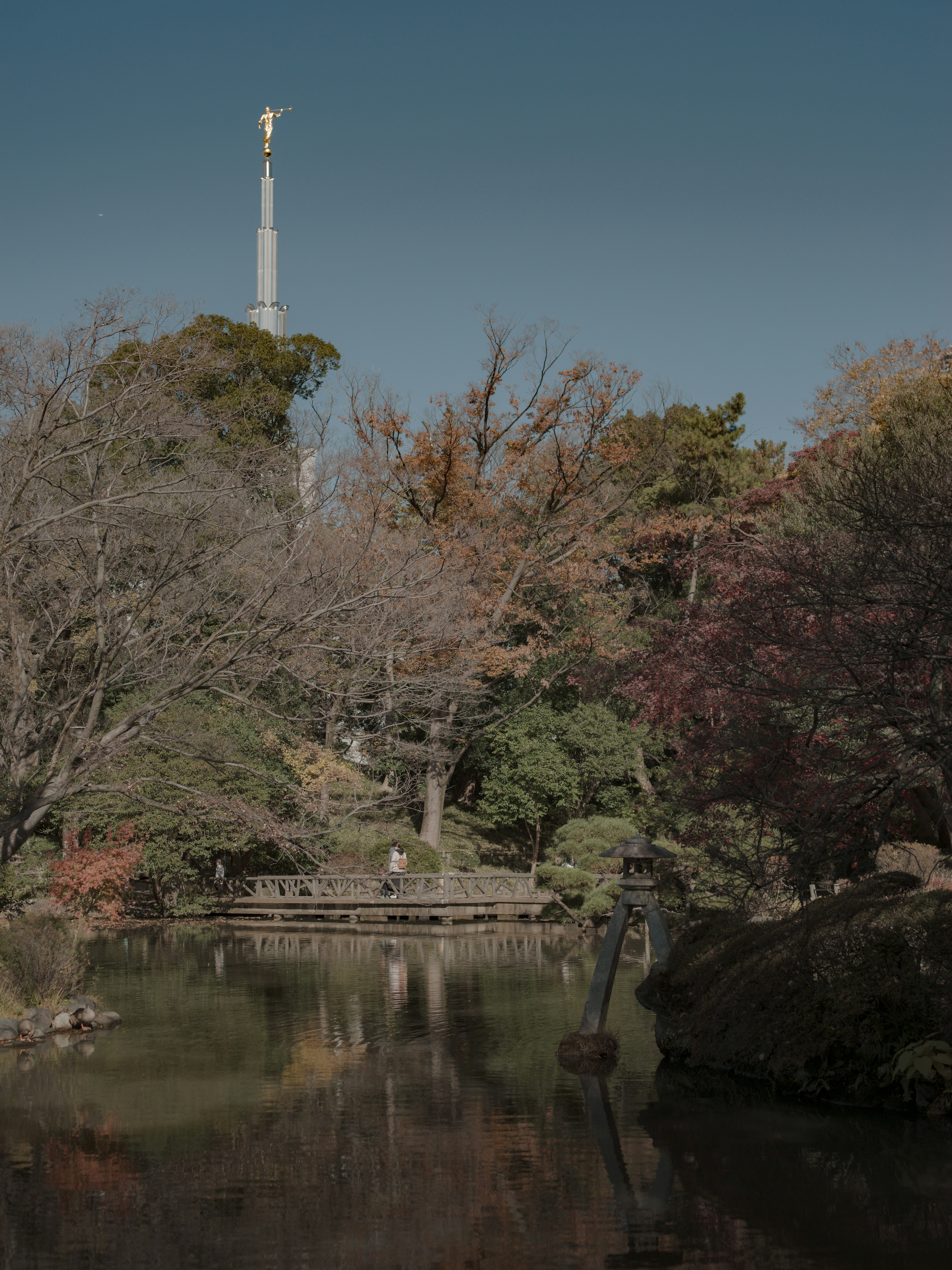 Serene landscape with colorful trees around a quiet pond