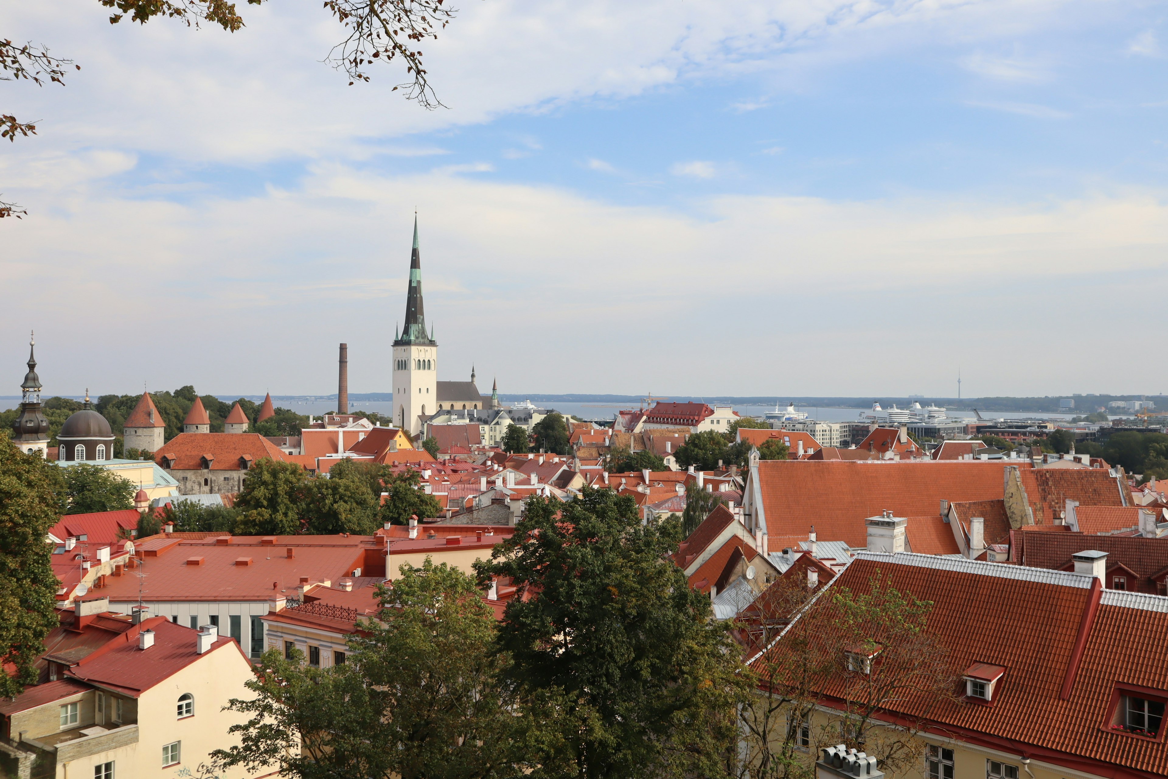 Vista panoramica della città vecchia di Tallinn con tetti rossi e edifici storici