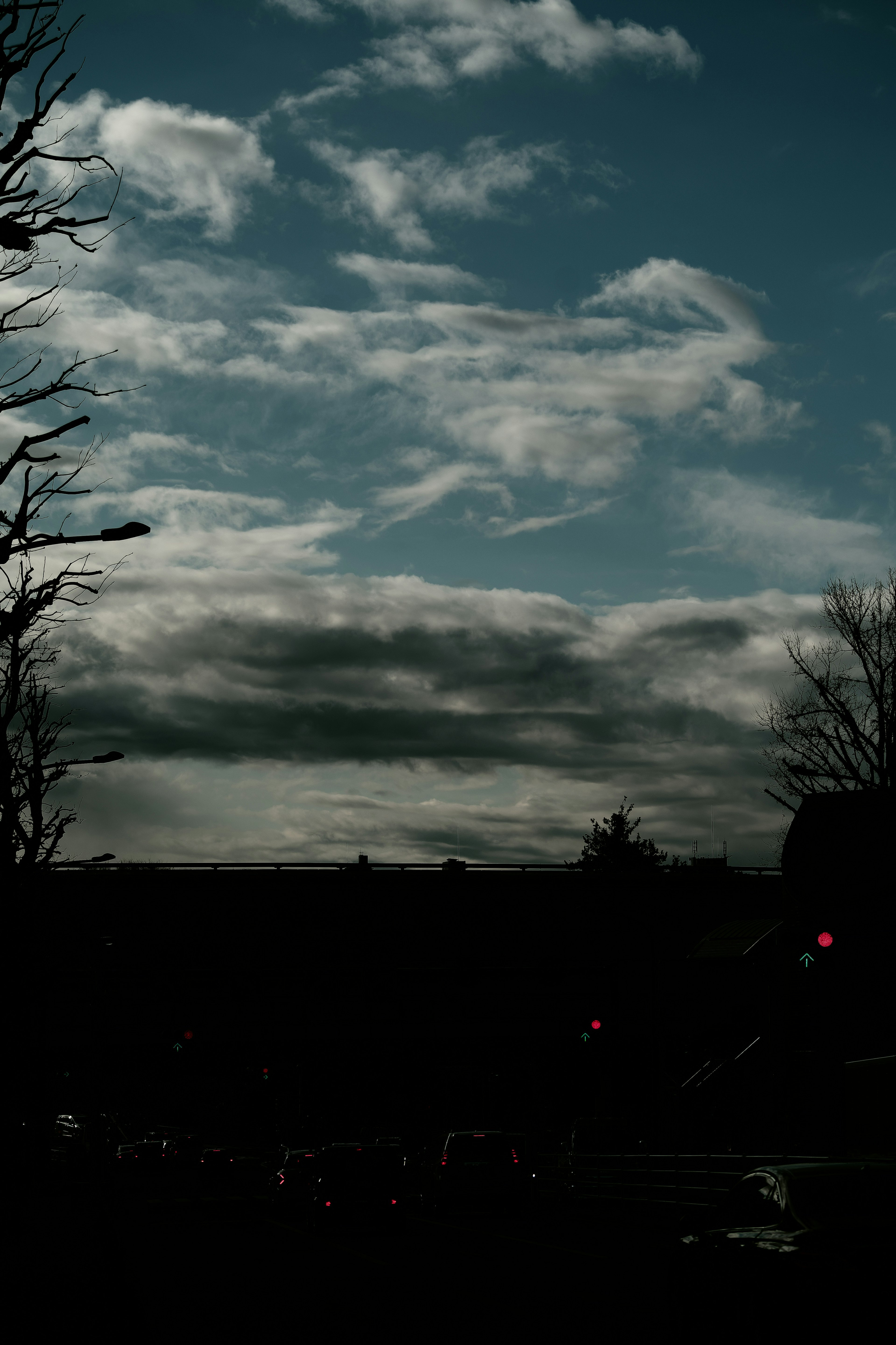 Silhouette of trees against a dark sky with clouds