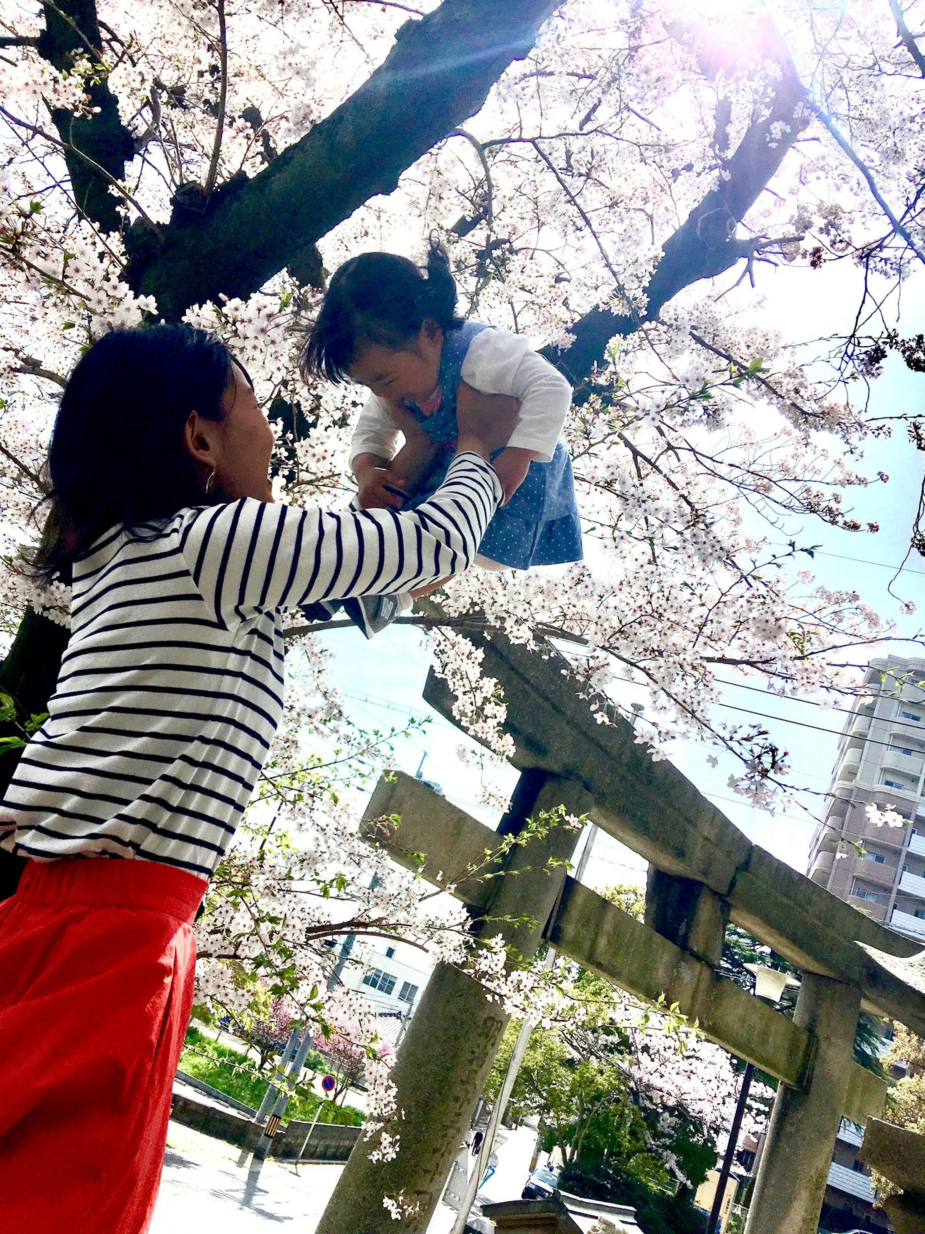 A woman lifting a child under a cherry blossom tree