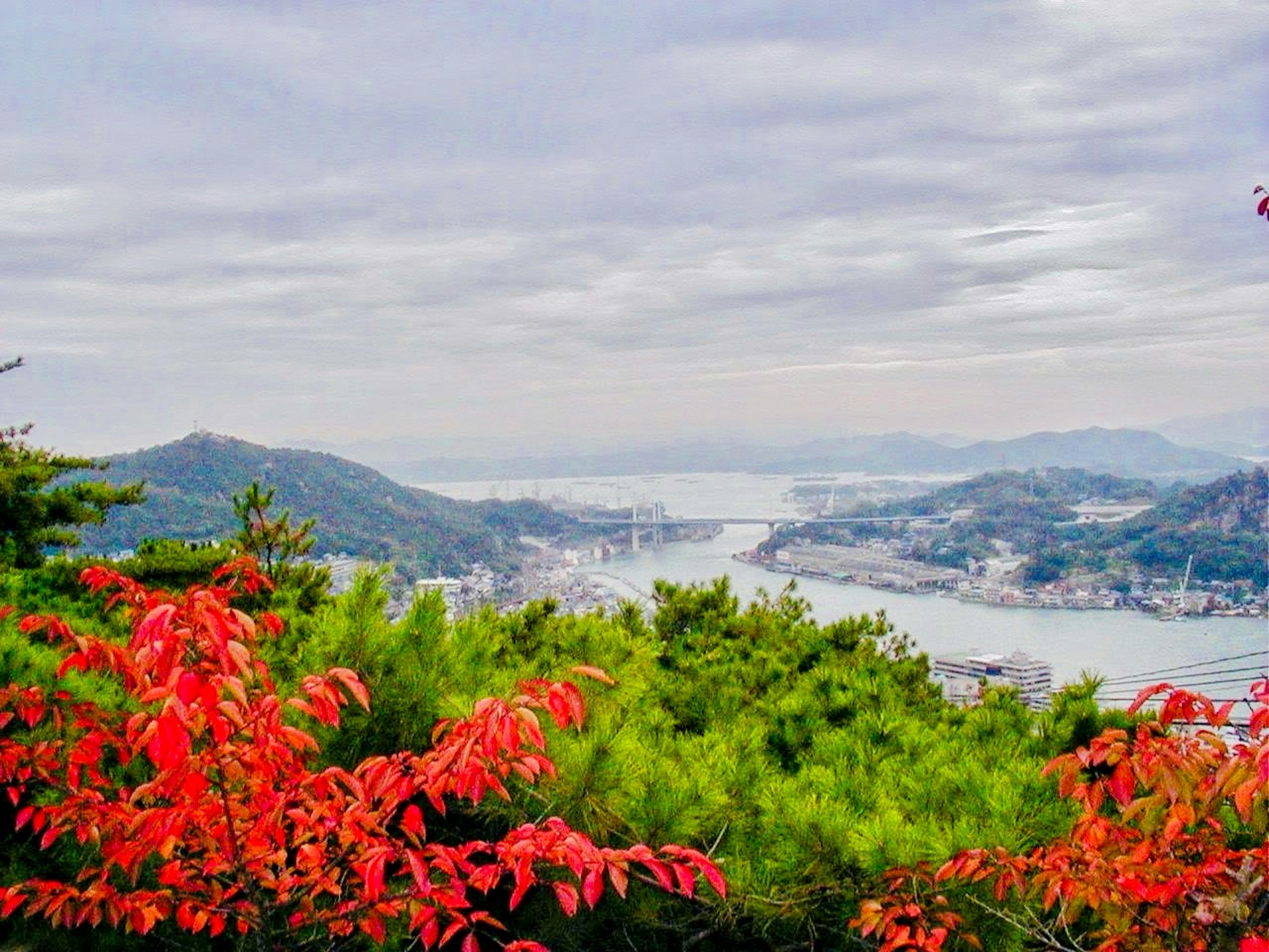 Scenic view featuring autumn foliage and a calm sea