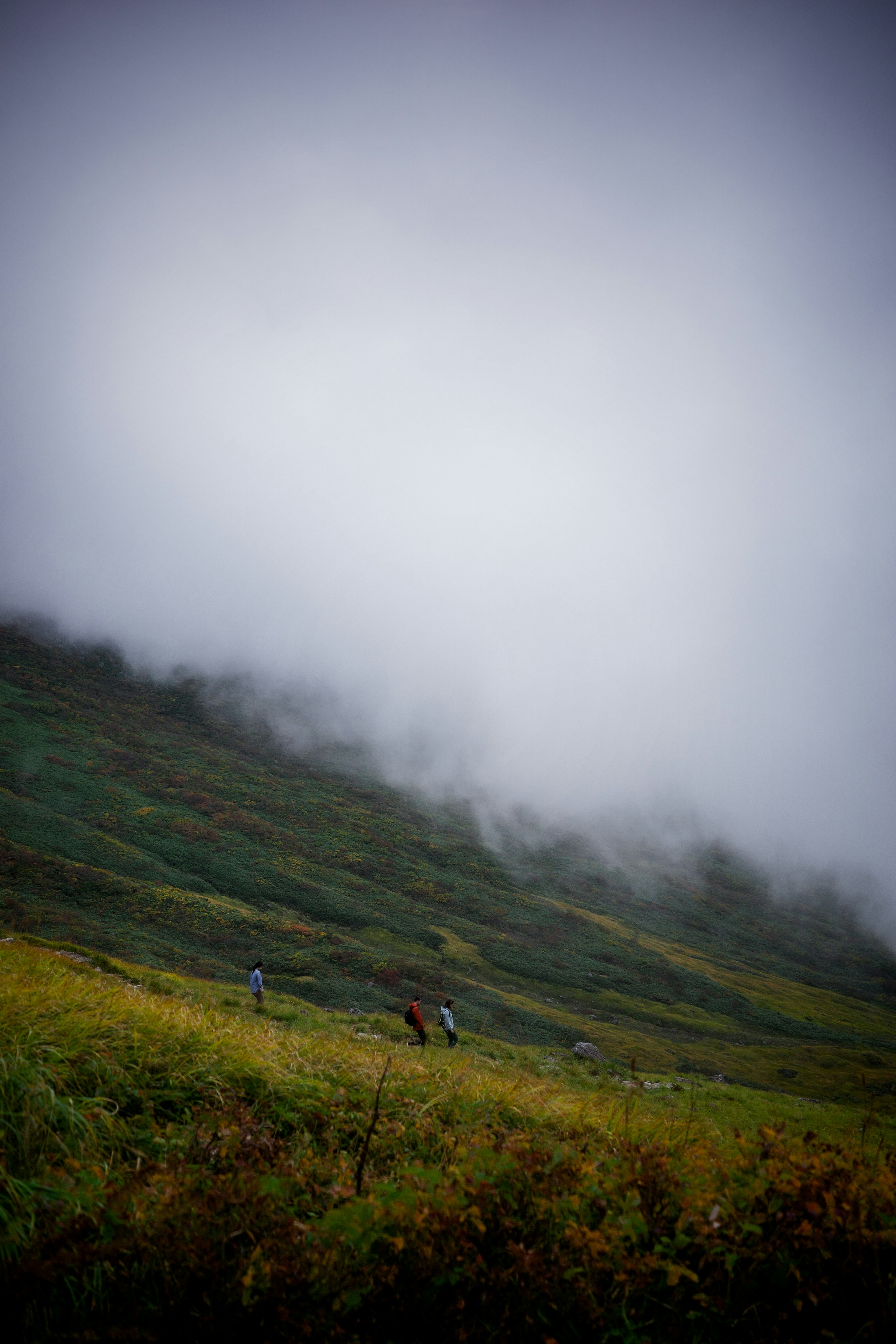 Landscape of people working on a hillside shrouded in fog