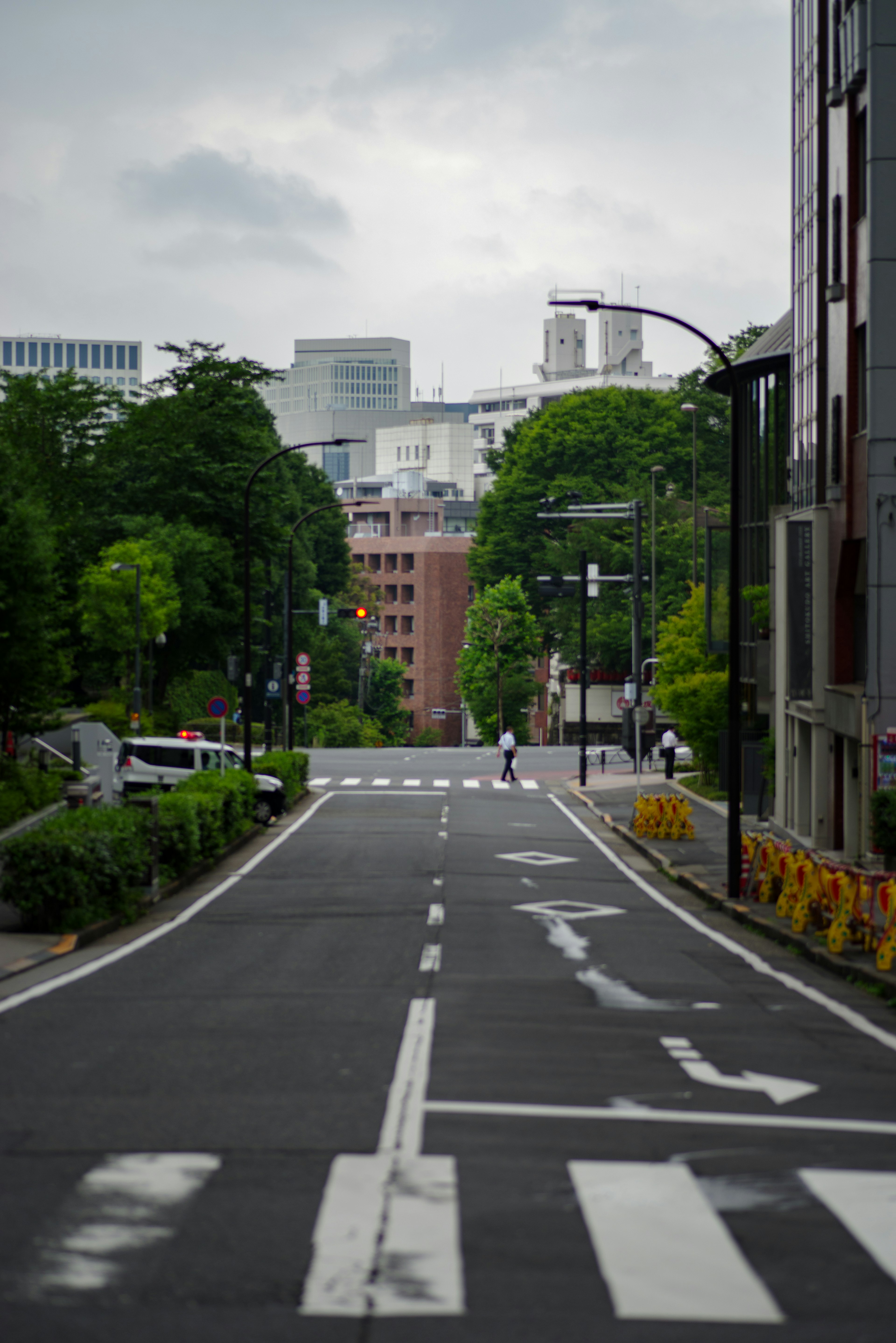 Quiet street scene with green trees and urban buildings