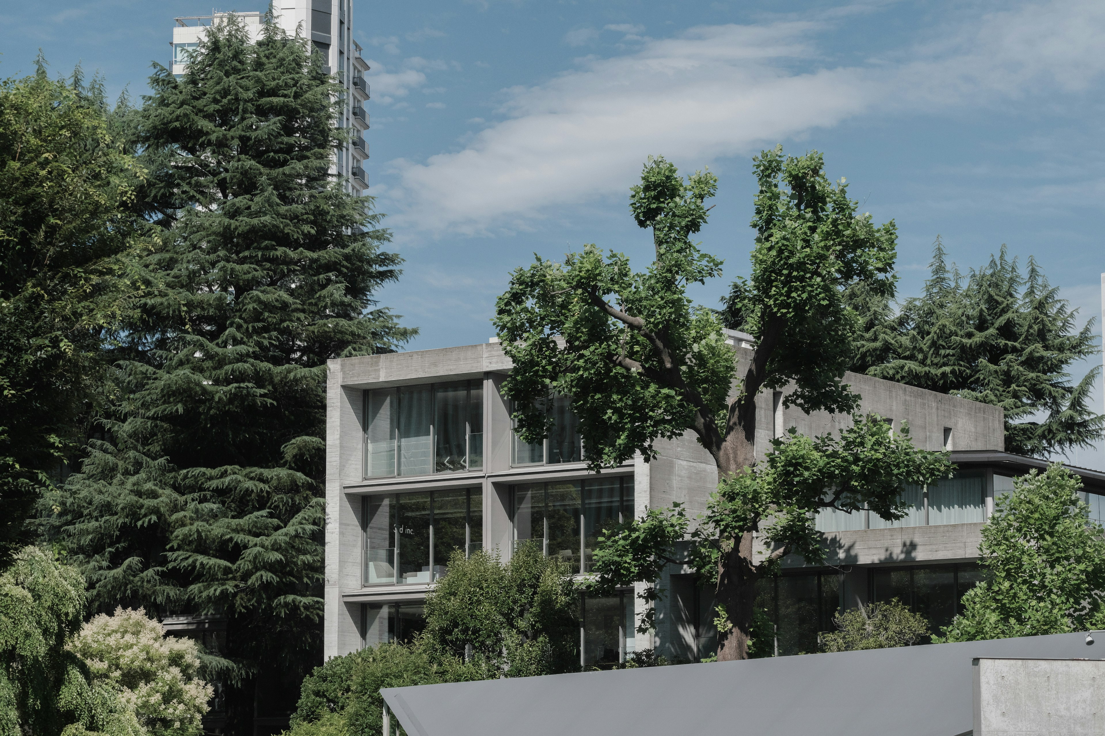 Casa moderna de concreto rodeada de vegetación exuberante