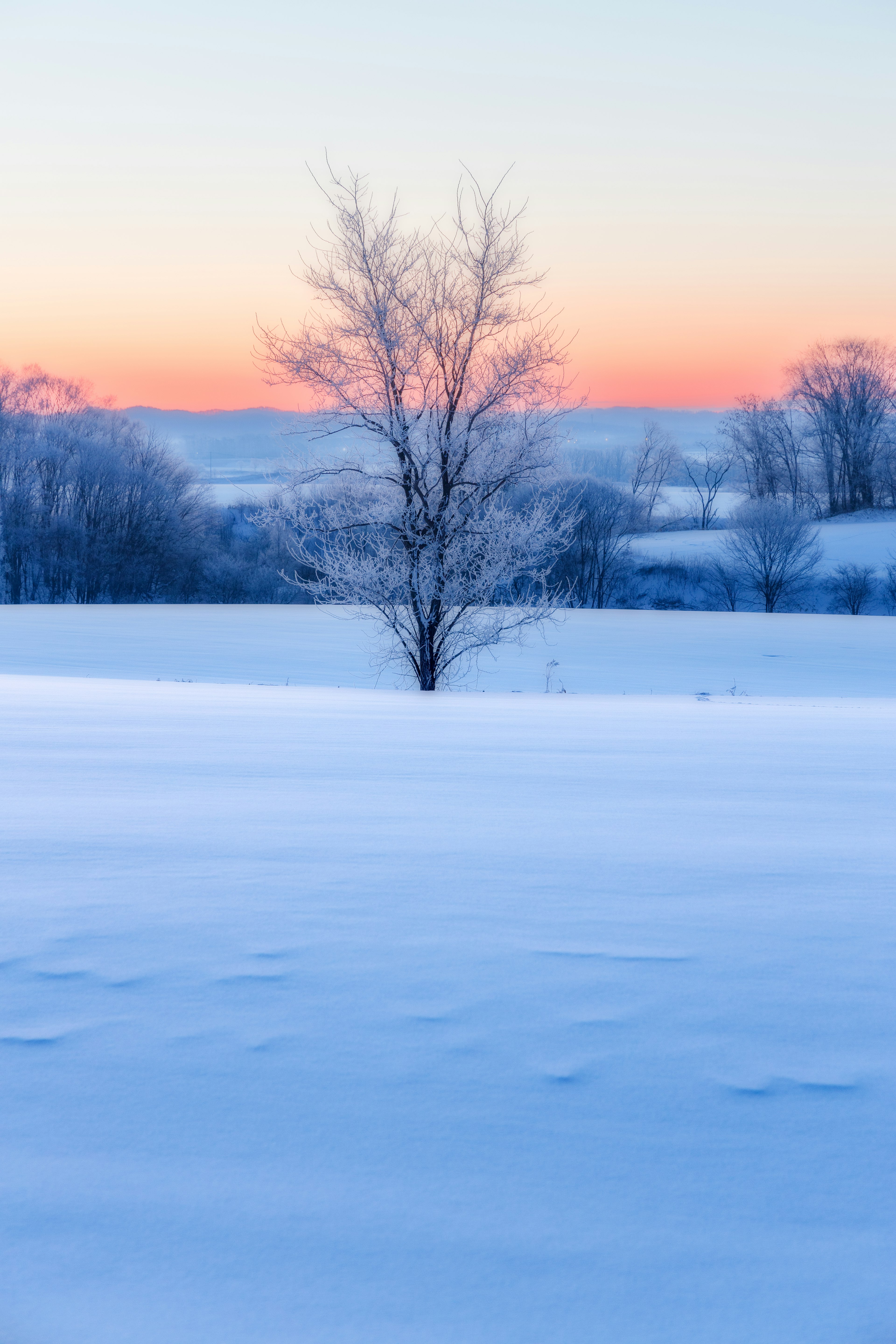 Ein einsamer Baum in einem verschneiten Feld mit einem bunten Himmel bei Sonnenuntergang