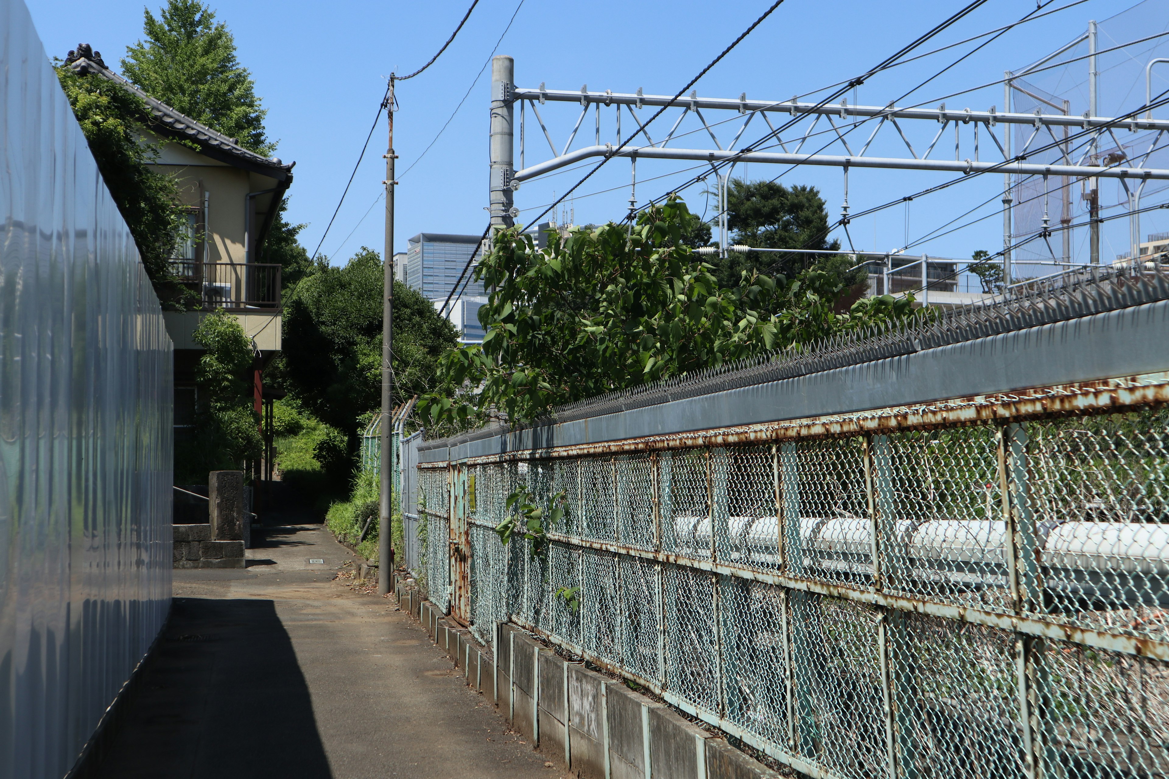 Narrow path with fences under blue sky