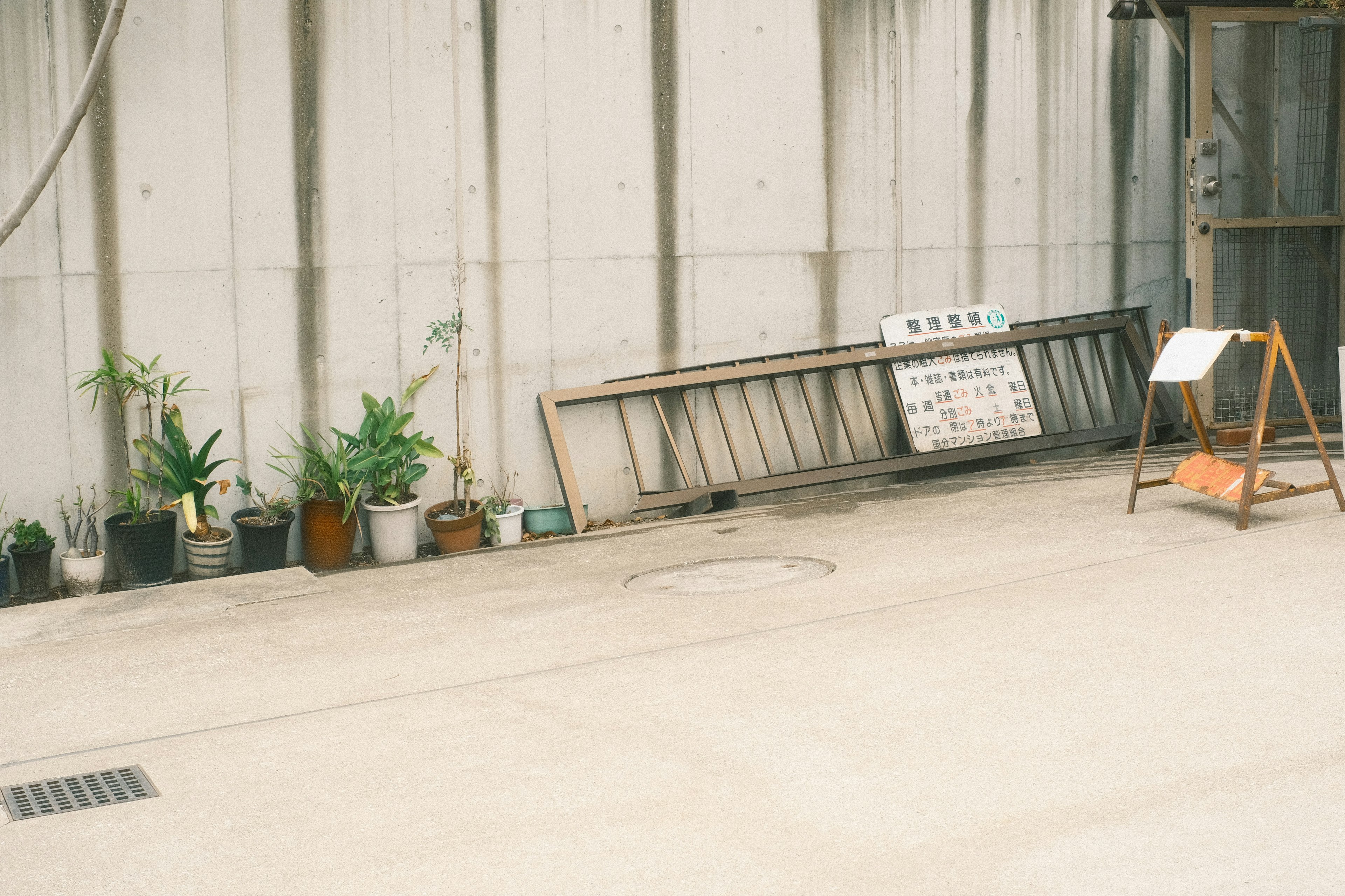 コンクリート壁の前に並ぶ鉢植えの植物と木製の看板