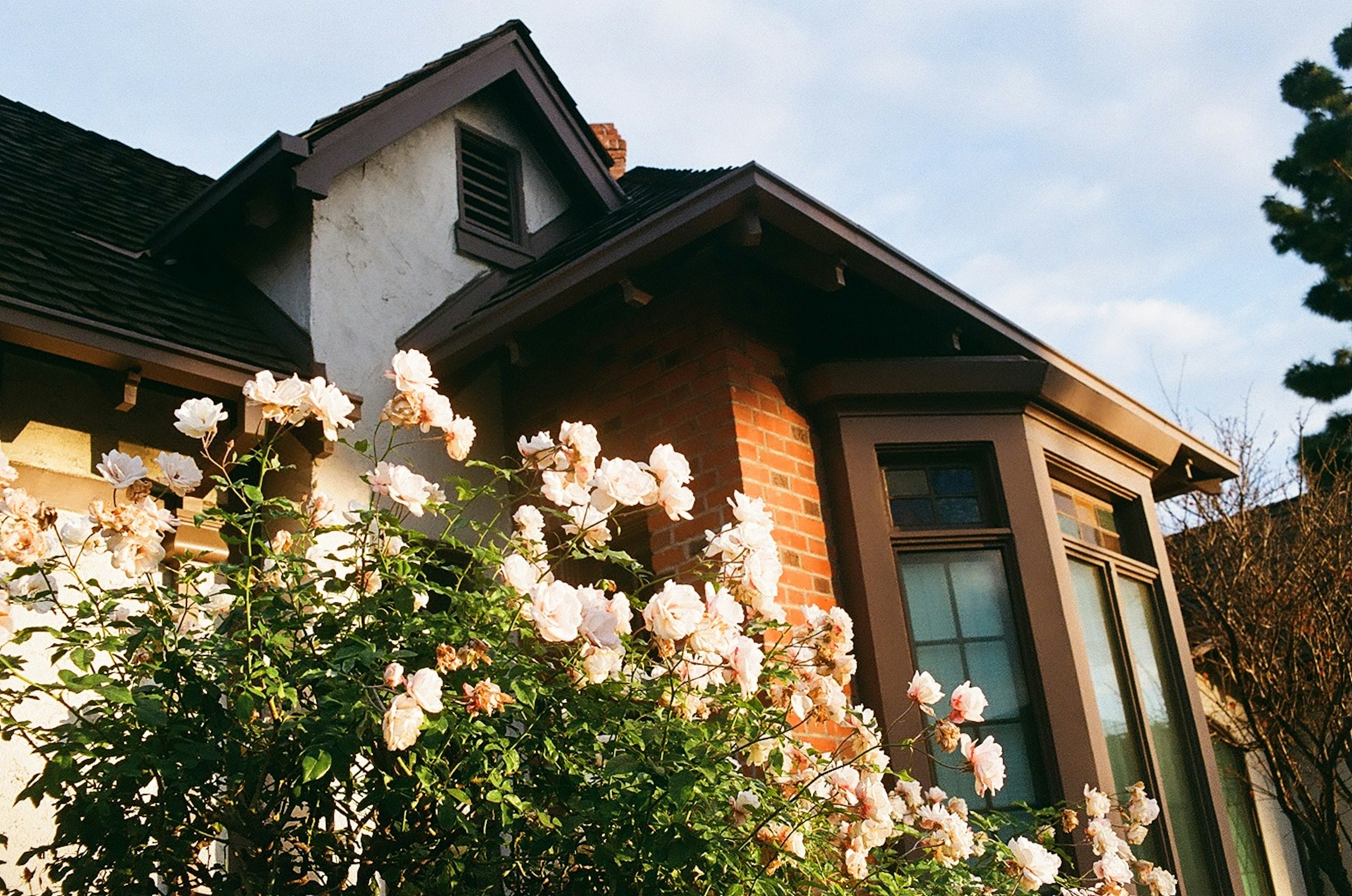 Hausfassade mit blühenden Rosen und blauem Himmel