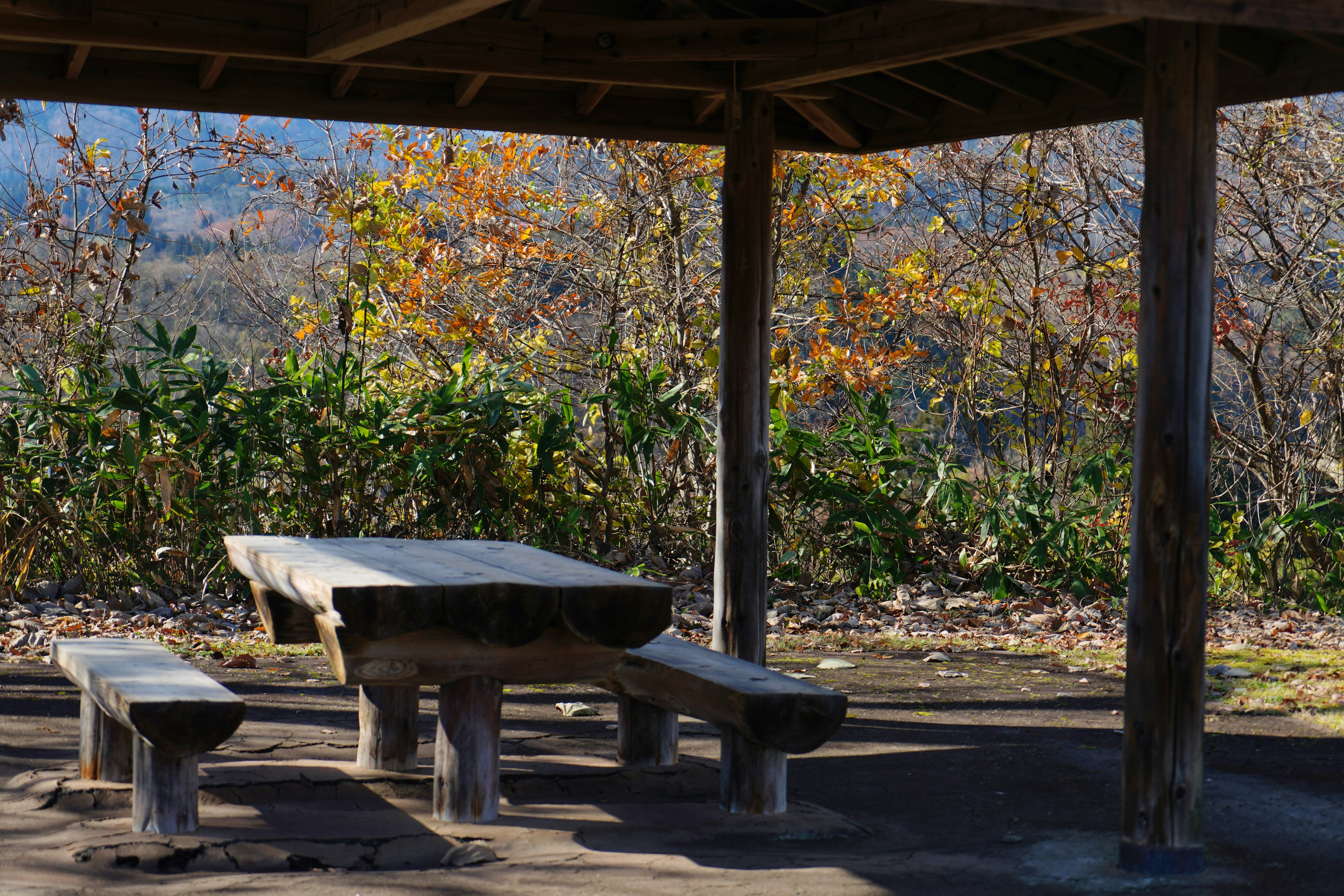 Vista interna di un gazebo con panchine e tavolo in legno circondati da fogliame autunnale