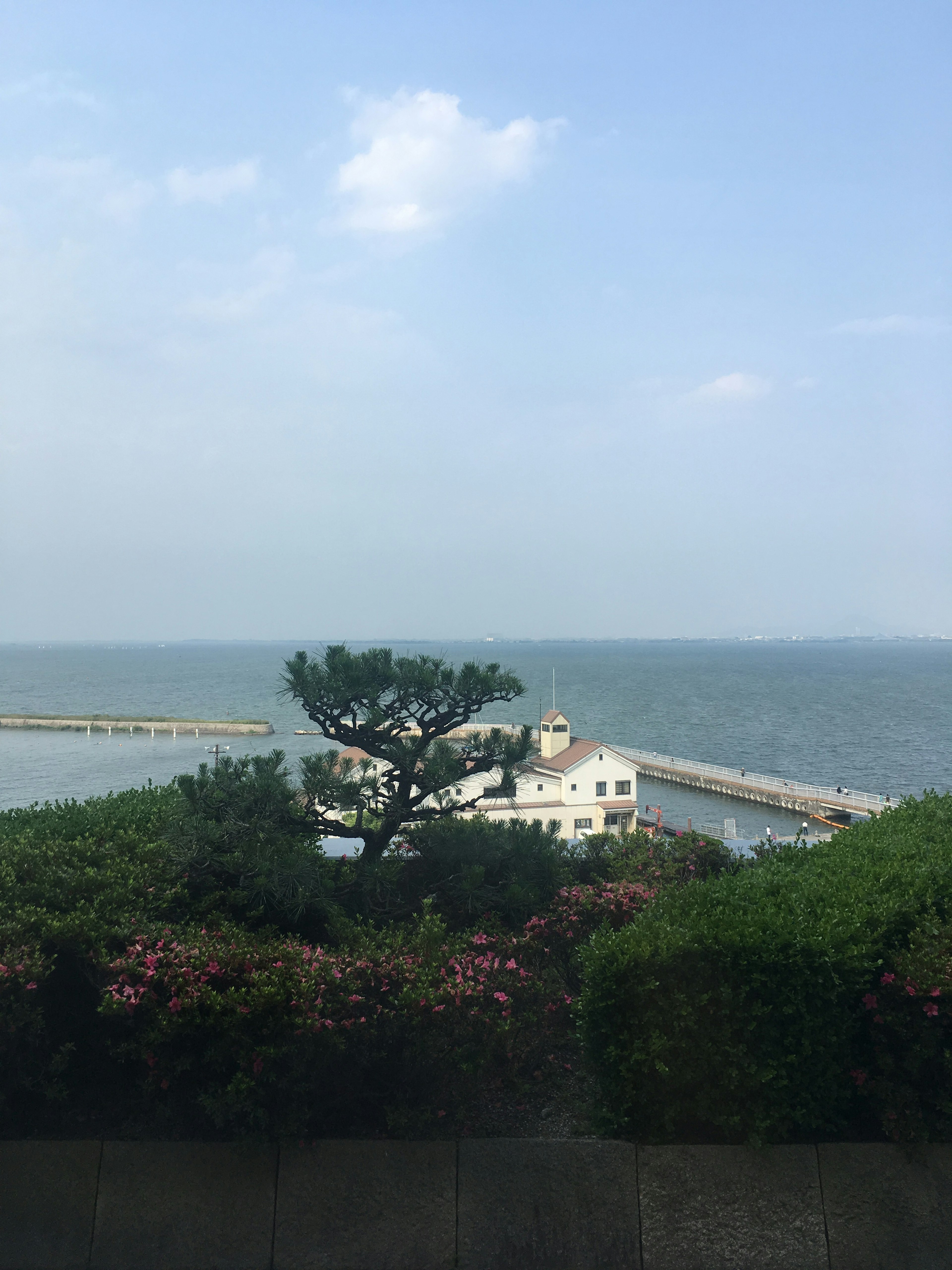 Vista panoramica con un edificio bianco vicino al mare circondato da vegetazione