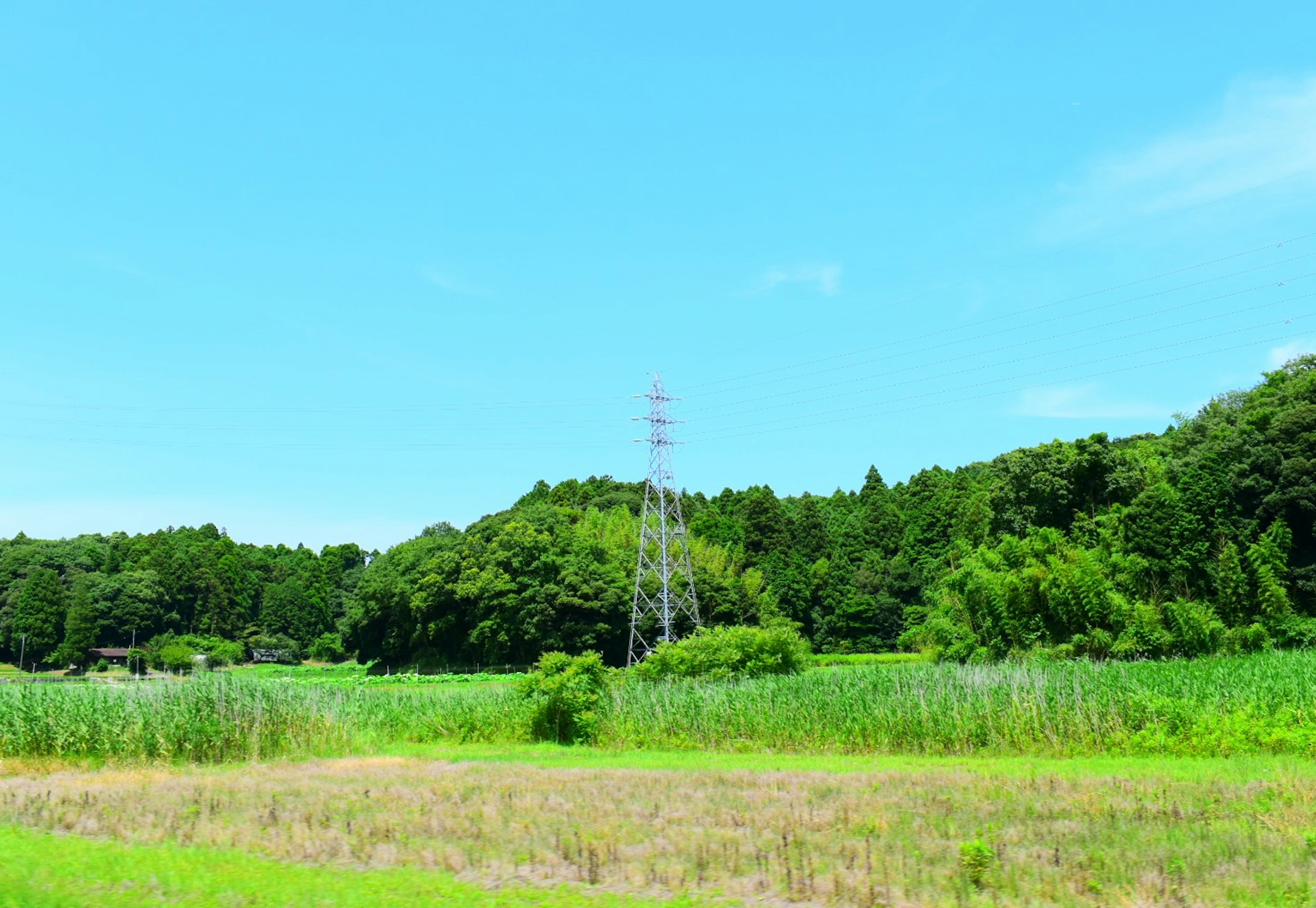 Torre elettrica che si erge in un campo verde sotto un cielo azzurro