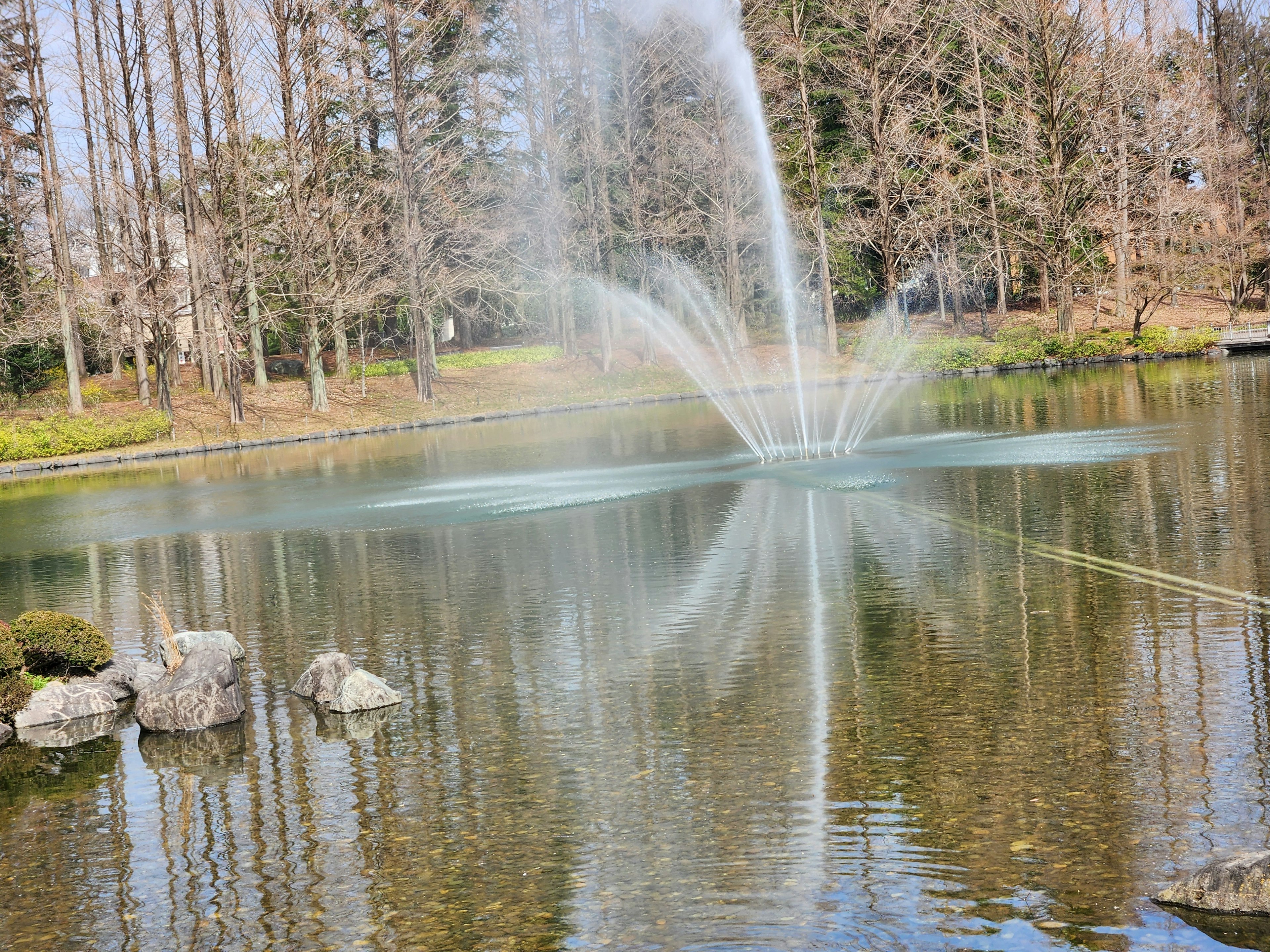 A fountain in a pond reflecting on the water surface with surrounding trees