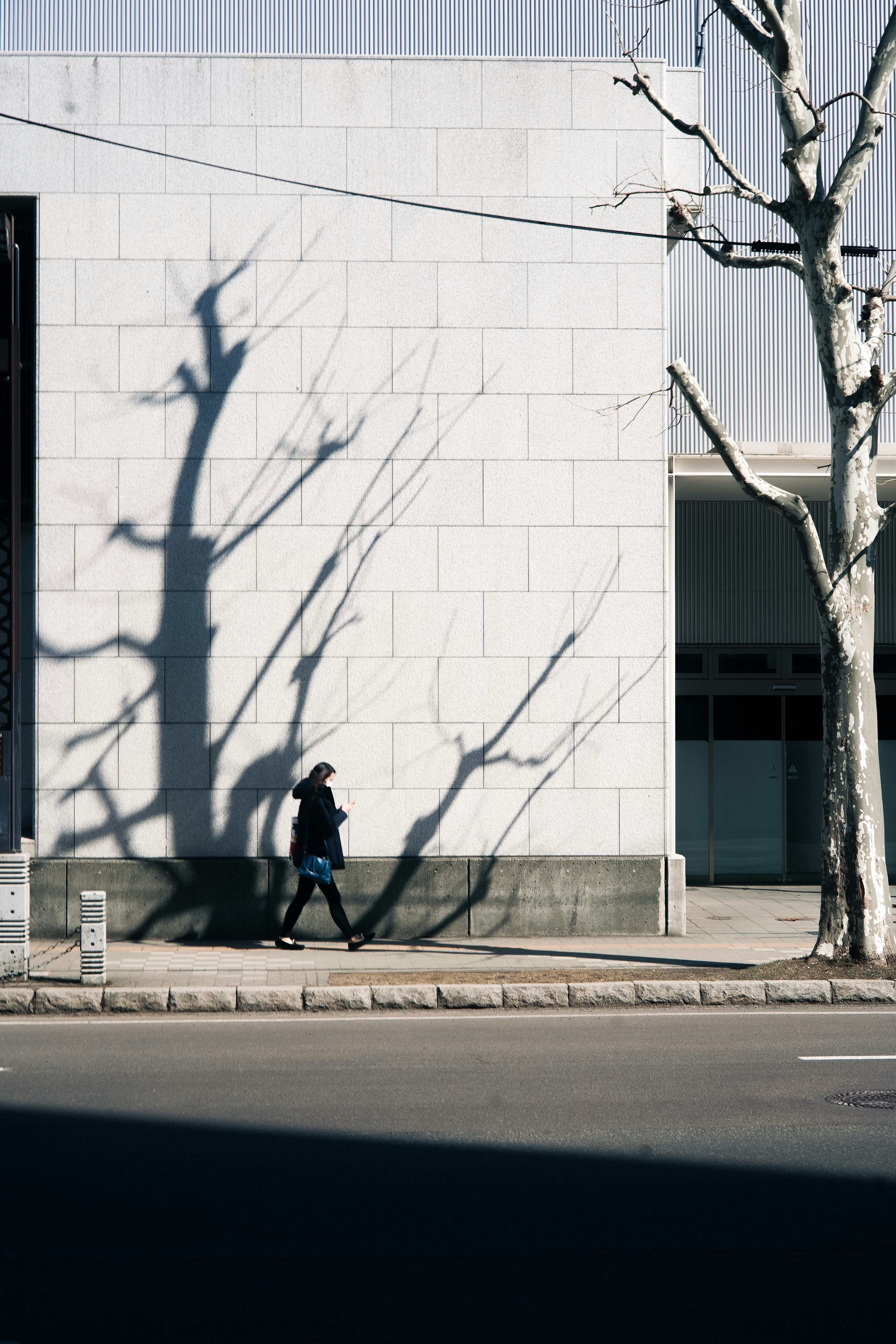 Silhouette of a person walking beside a white wall with tree shadows