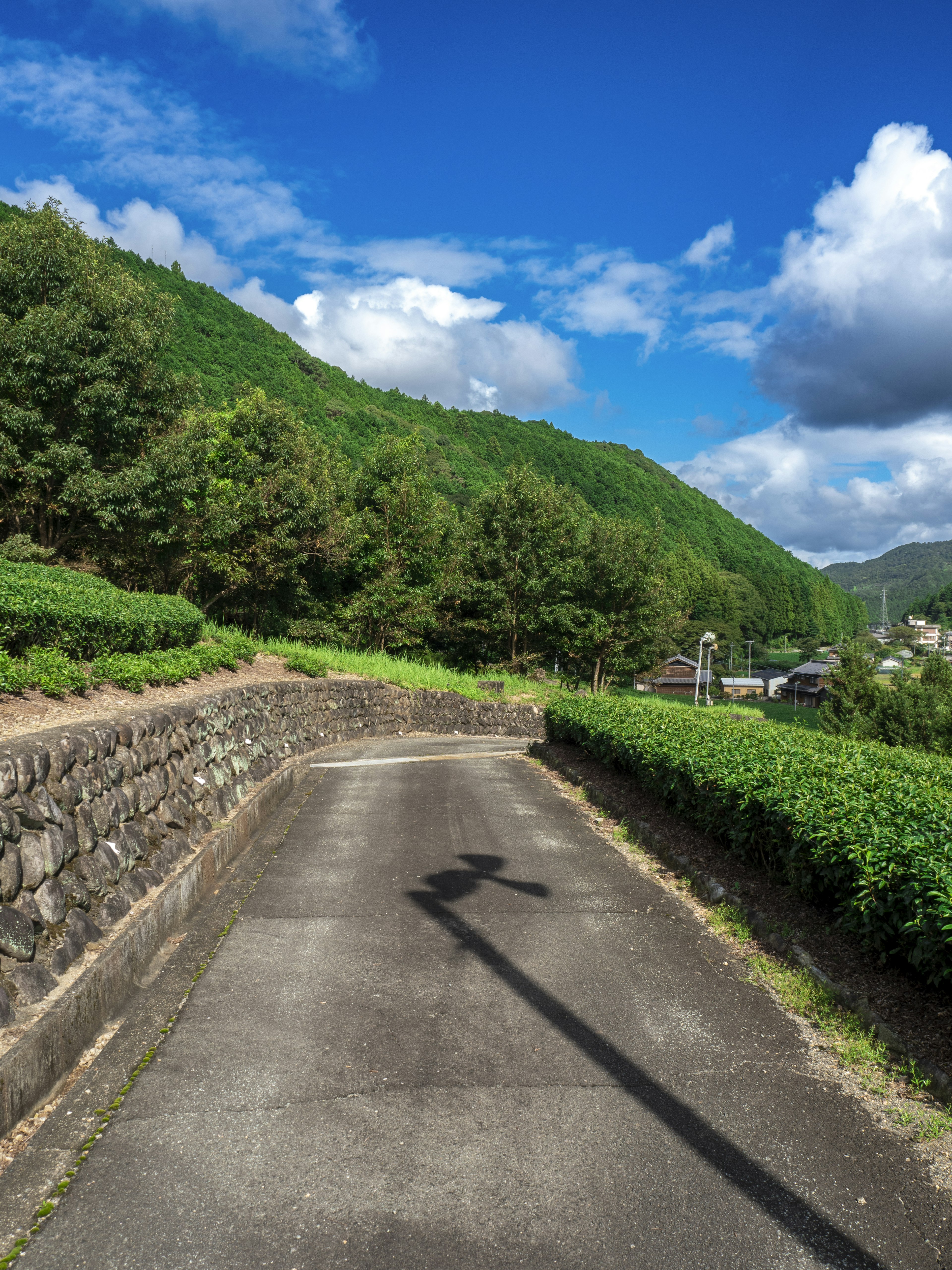 Ein ruhiger Weg mit grünen Hügeln und blauem Himmel im Hintergrund