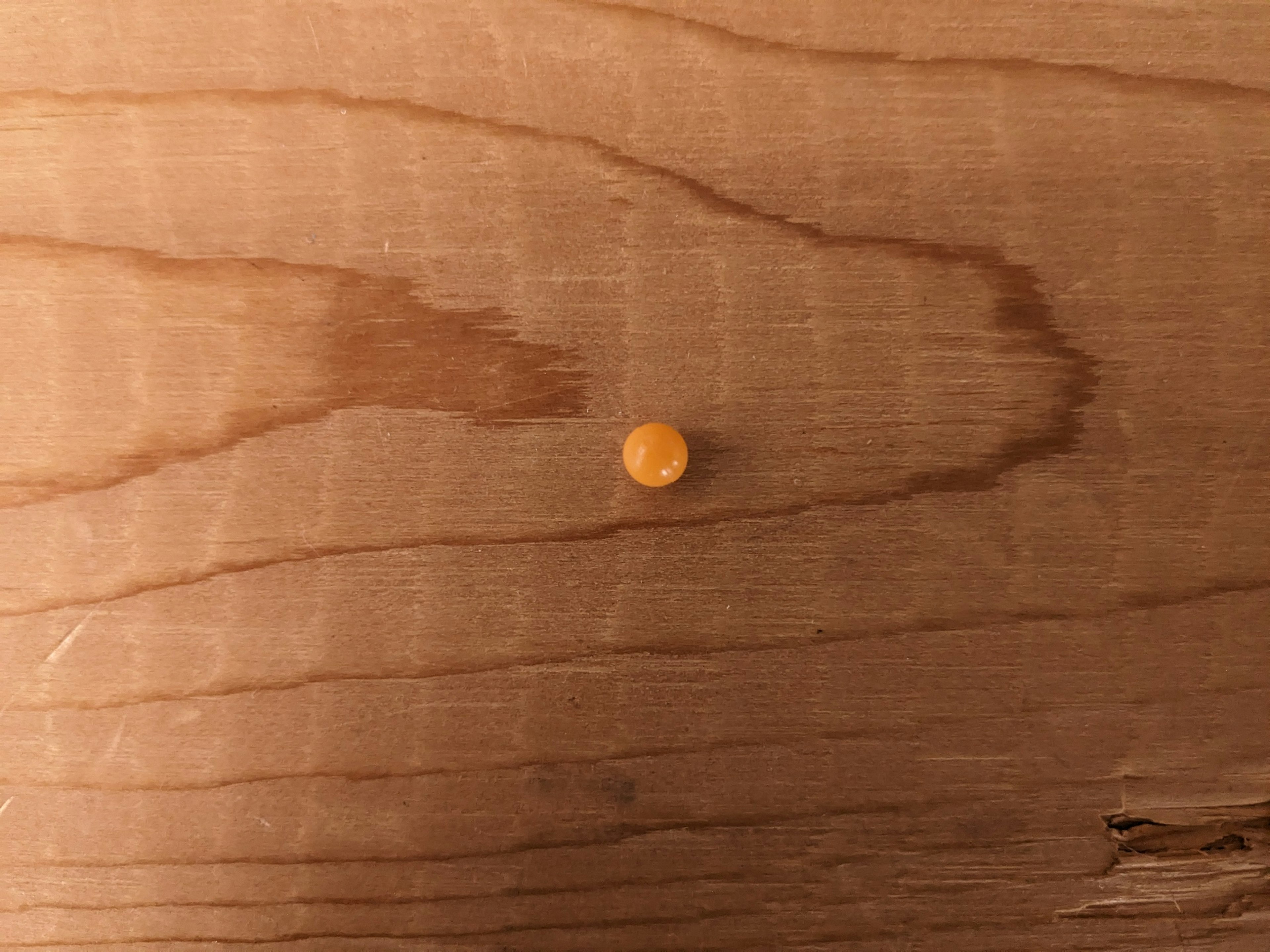 A small orange circular object on a wooden table