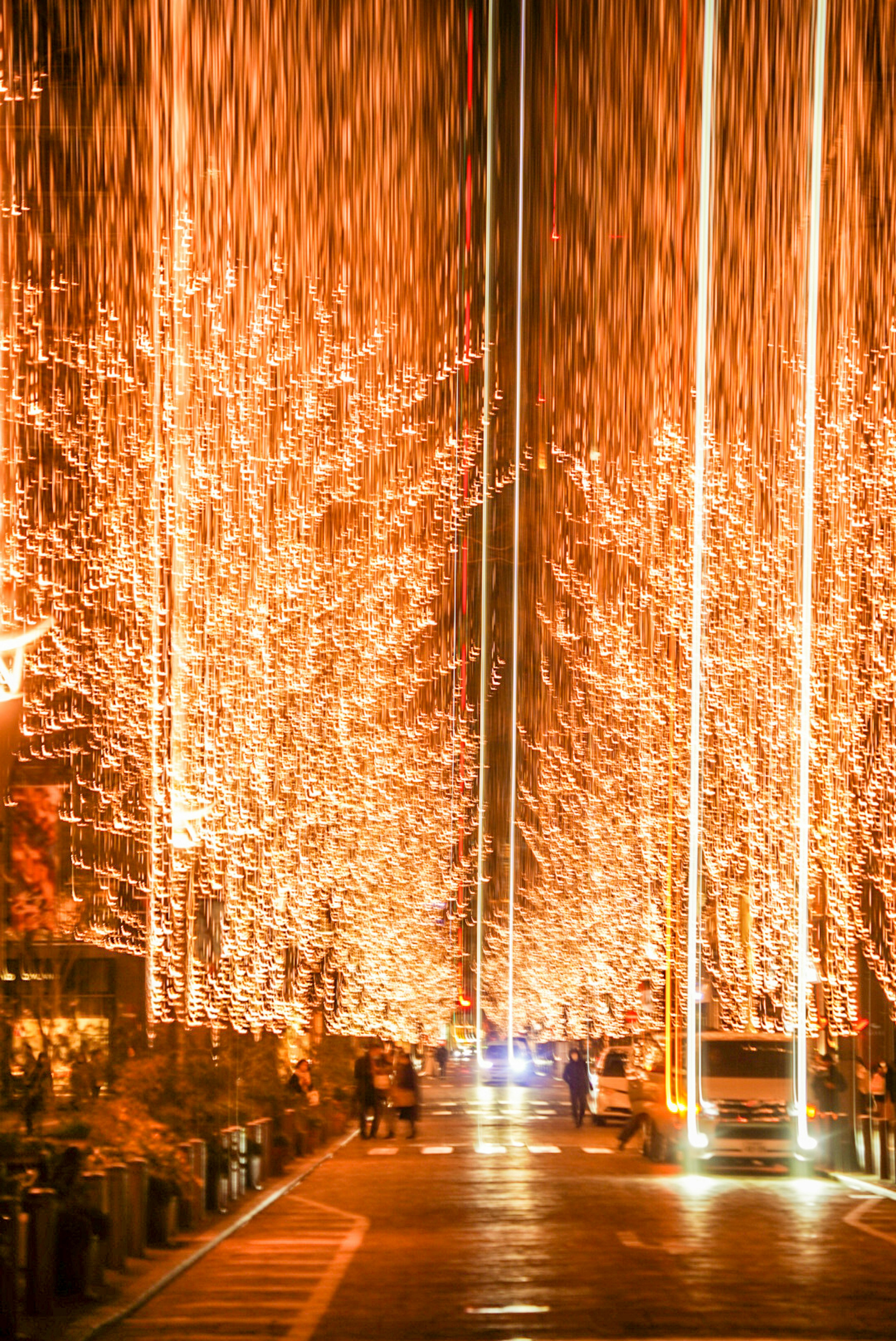 Arbres illuminés bordant une rue avec un spectacle lumineux éblouissant