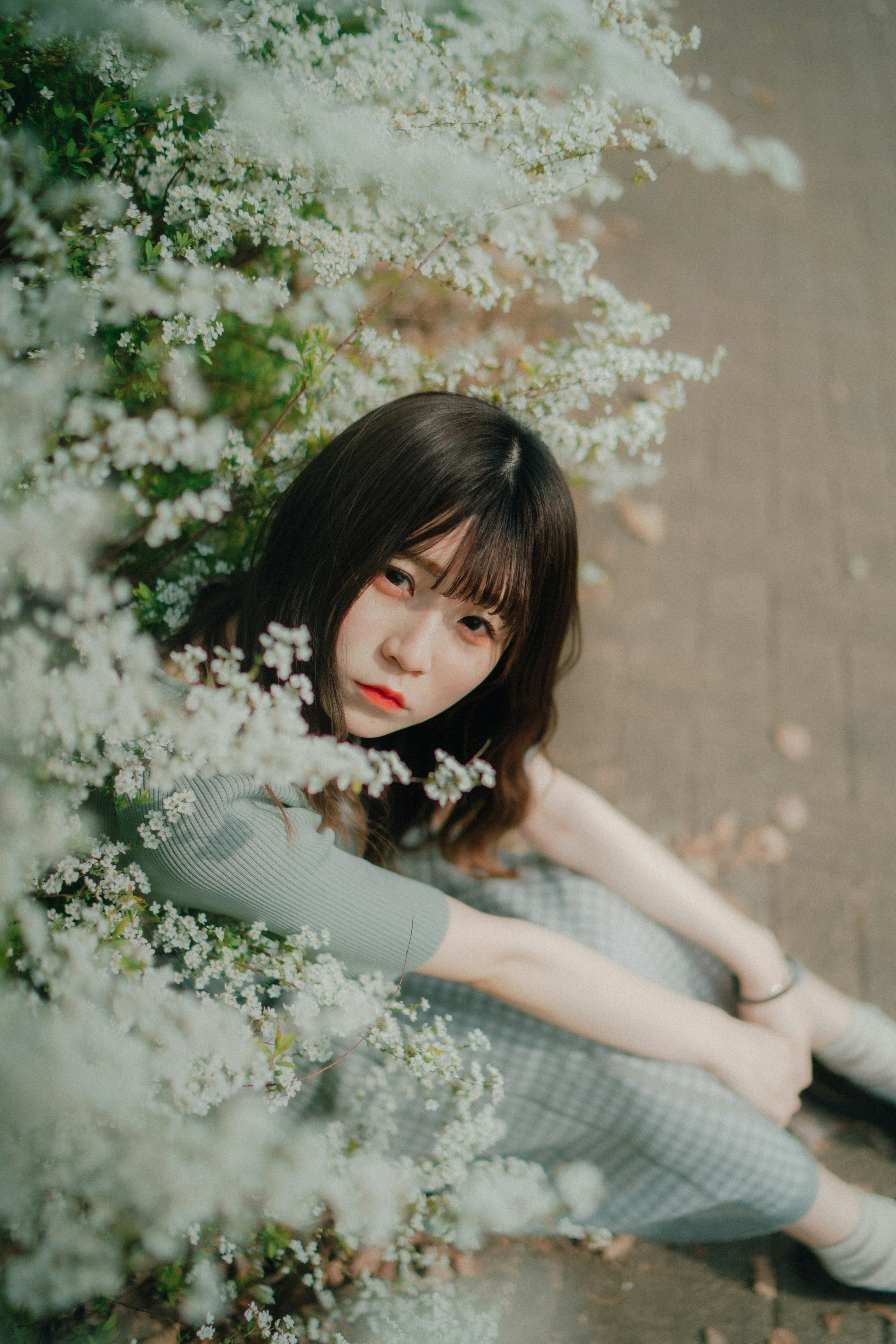 Una mujer sentada rodeada de flores blancas