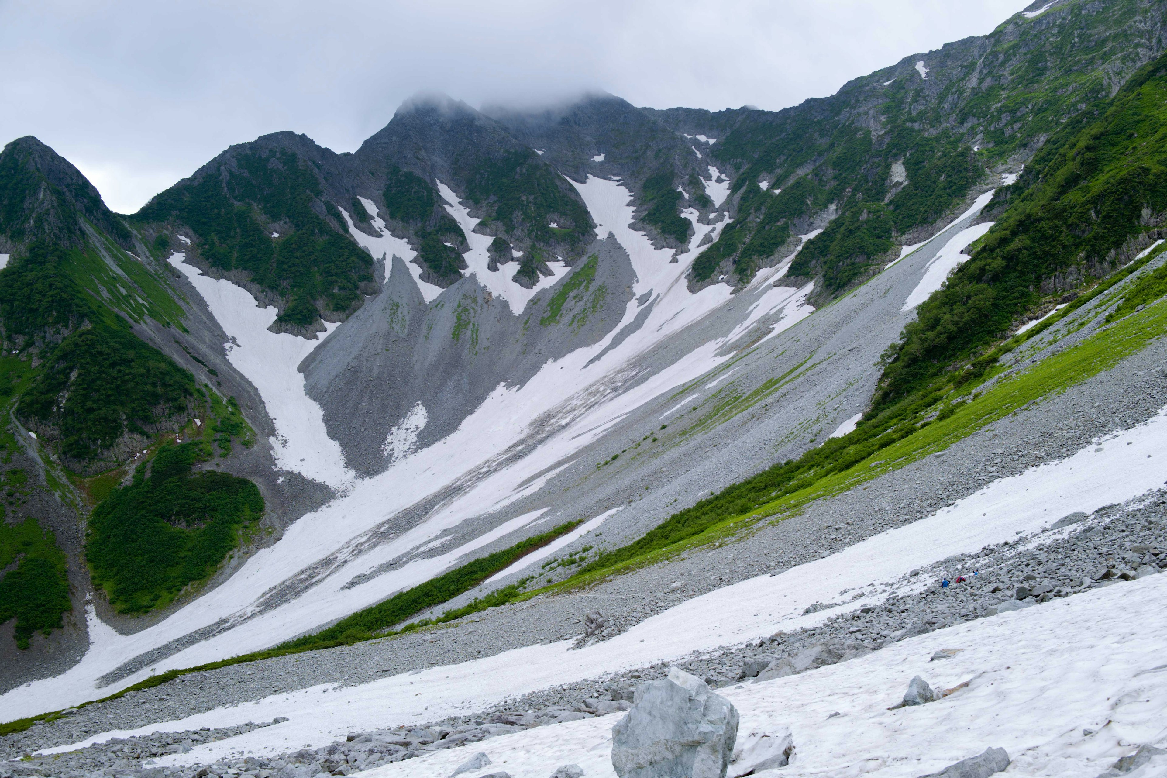 雪に覆われた山の斜面と緑の草地が広がる風景