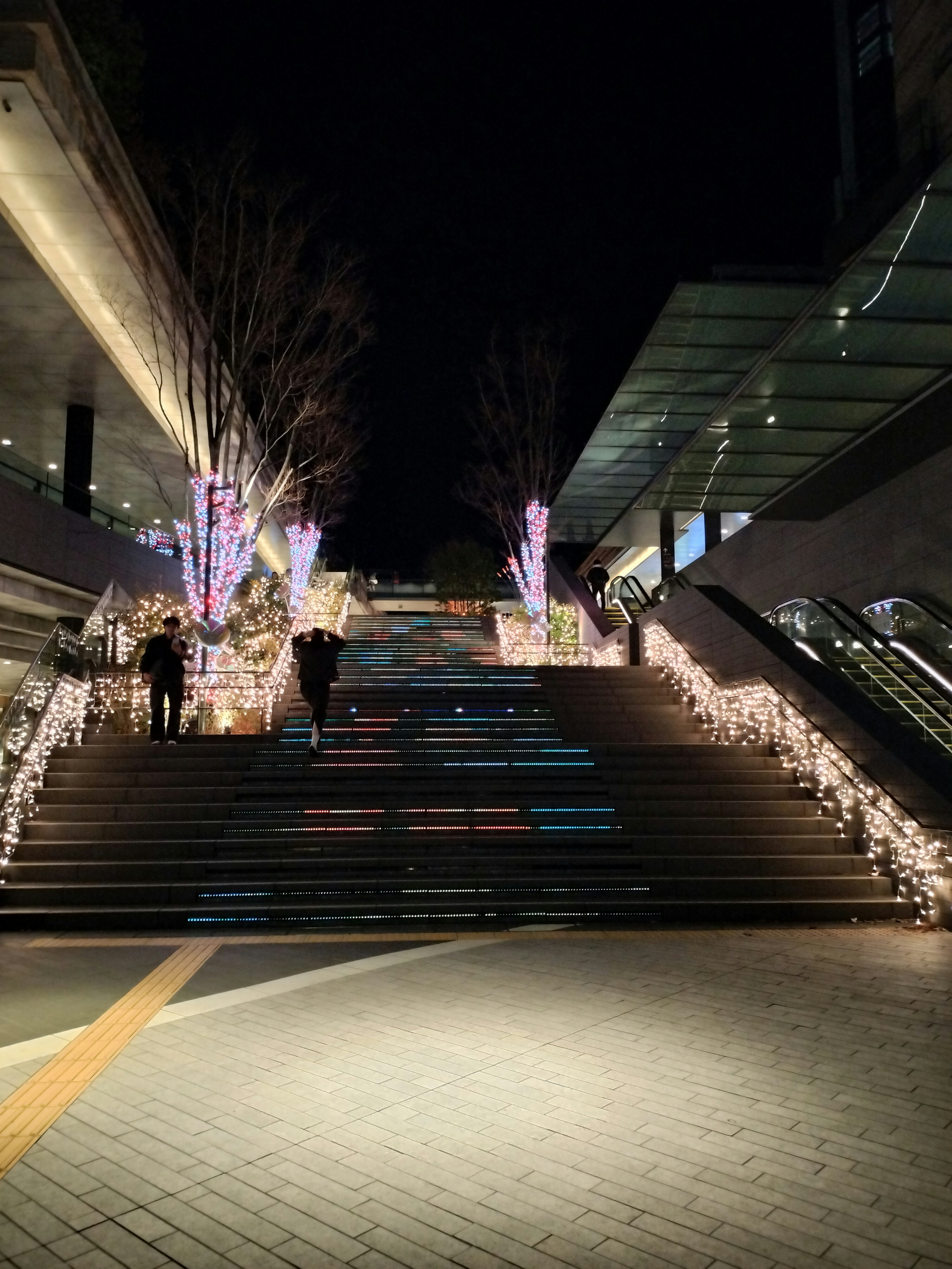 夜の階段に装飾されたライトと木々が美しい