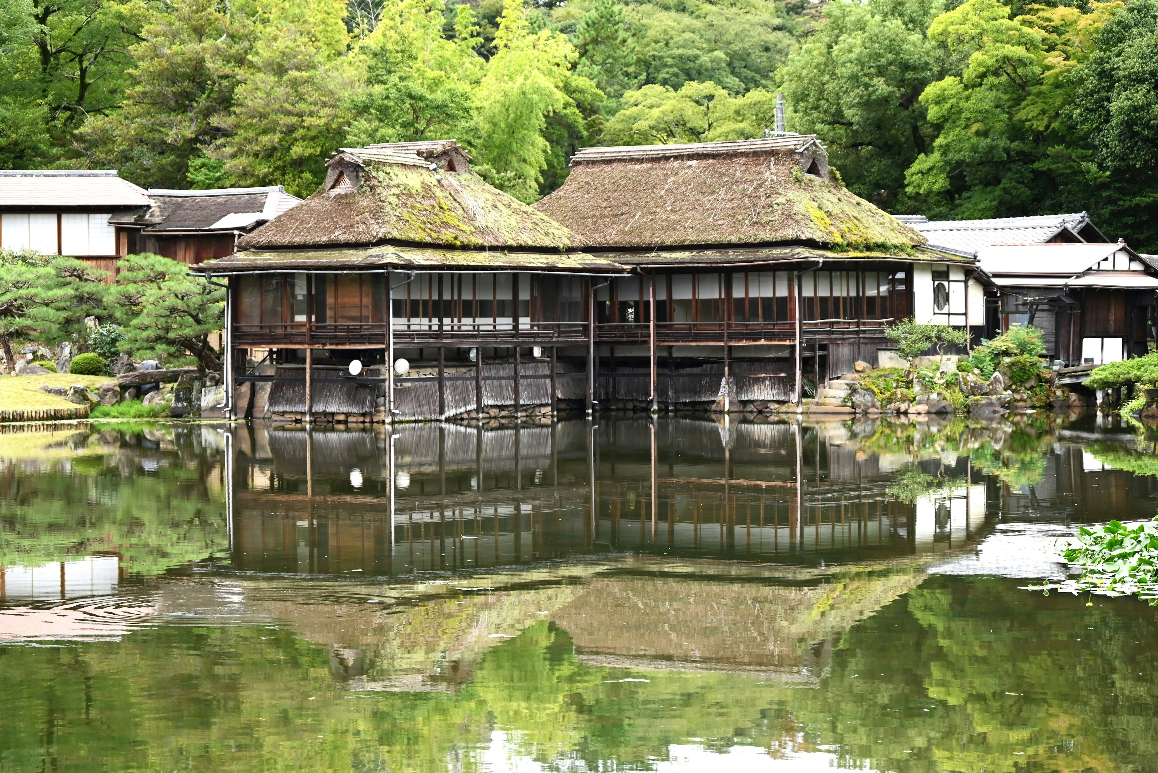 Maison japonaise traditionnelle au bord d'un étang avec une végétation luxuriante