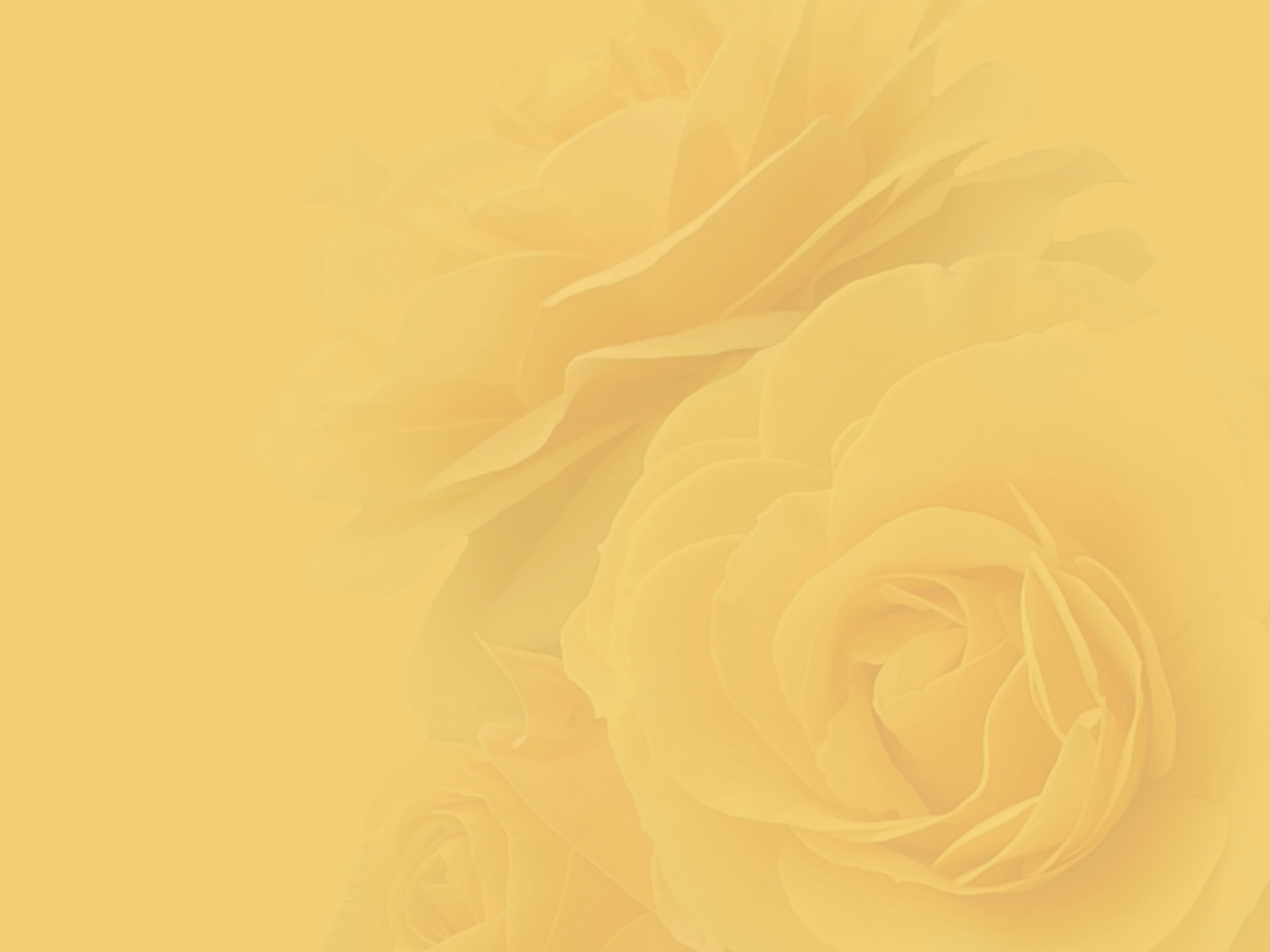 Softly depicted roses against a yellow background