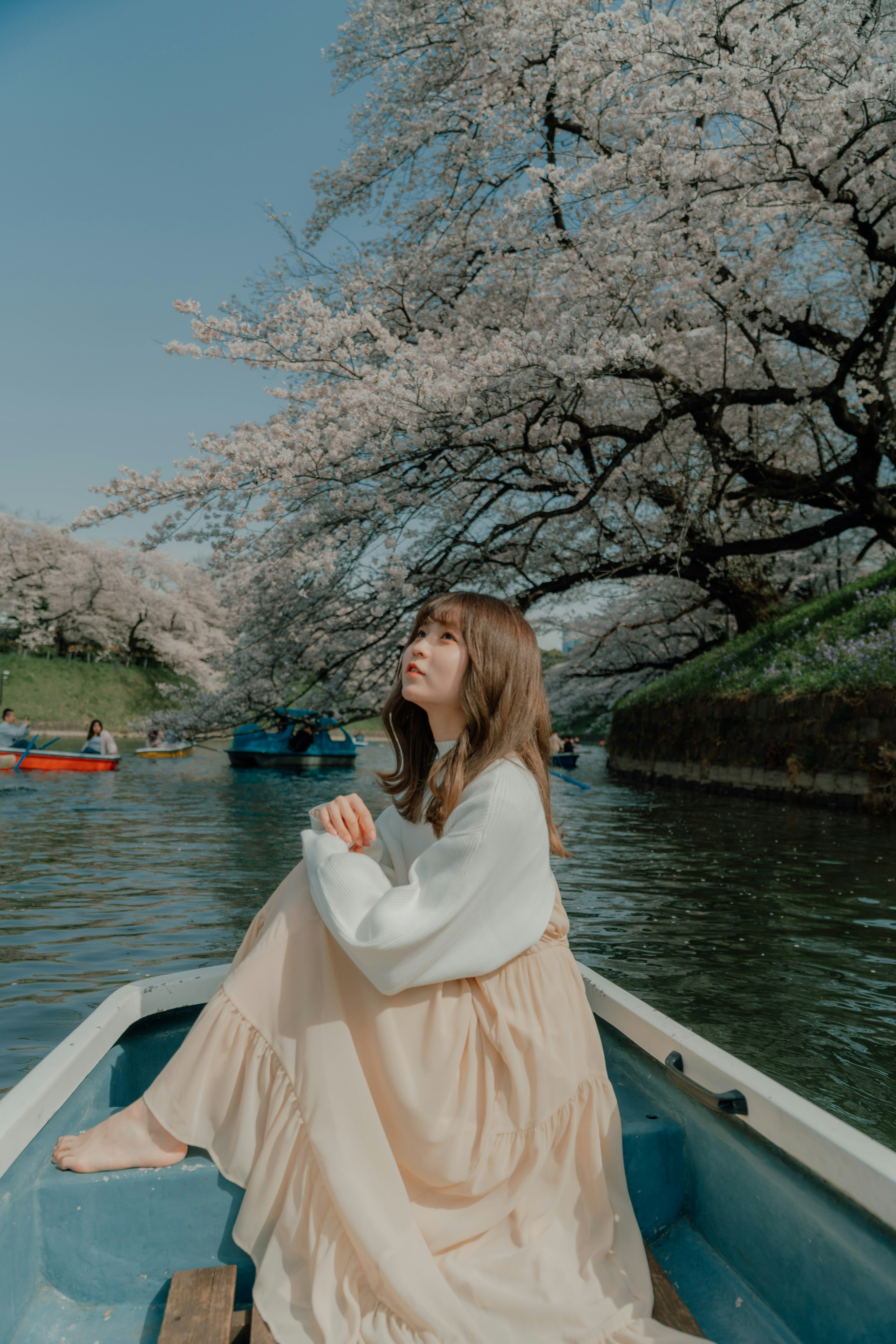 A woman sitting in a boat under cherry blossom trees