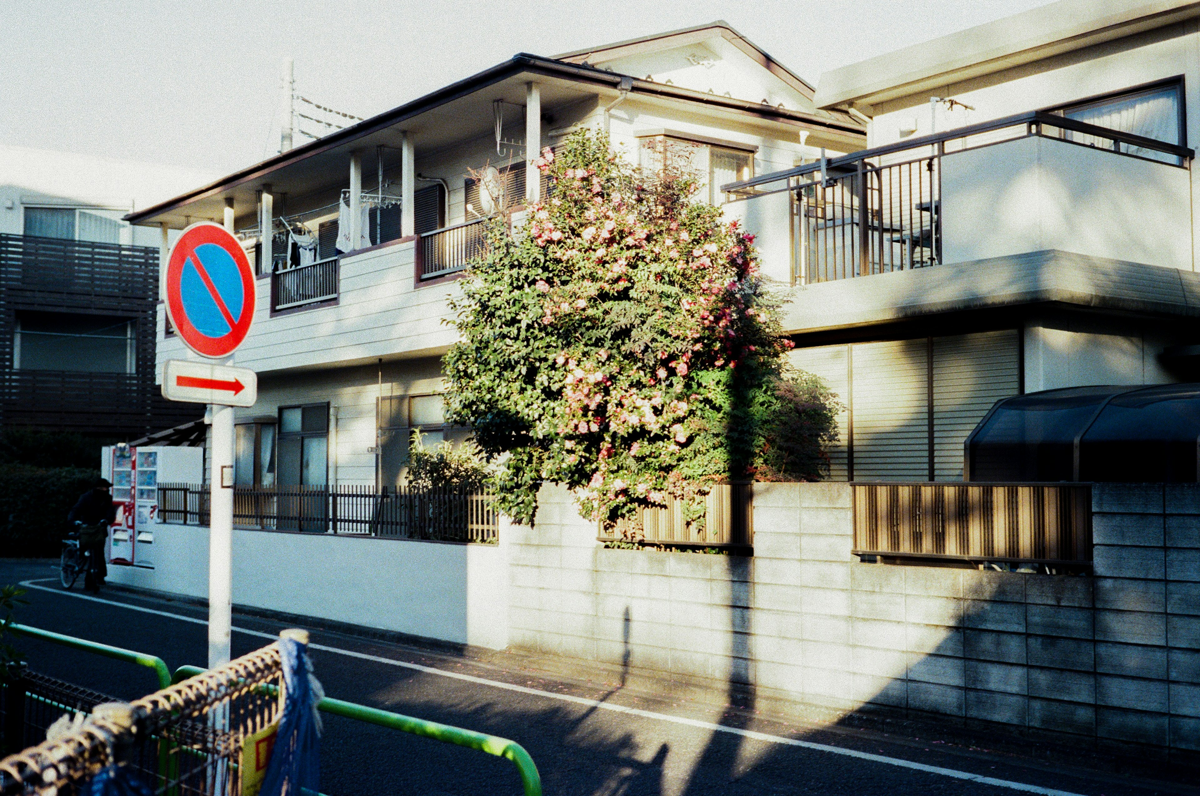 A residential corner featuring a house and a tree