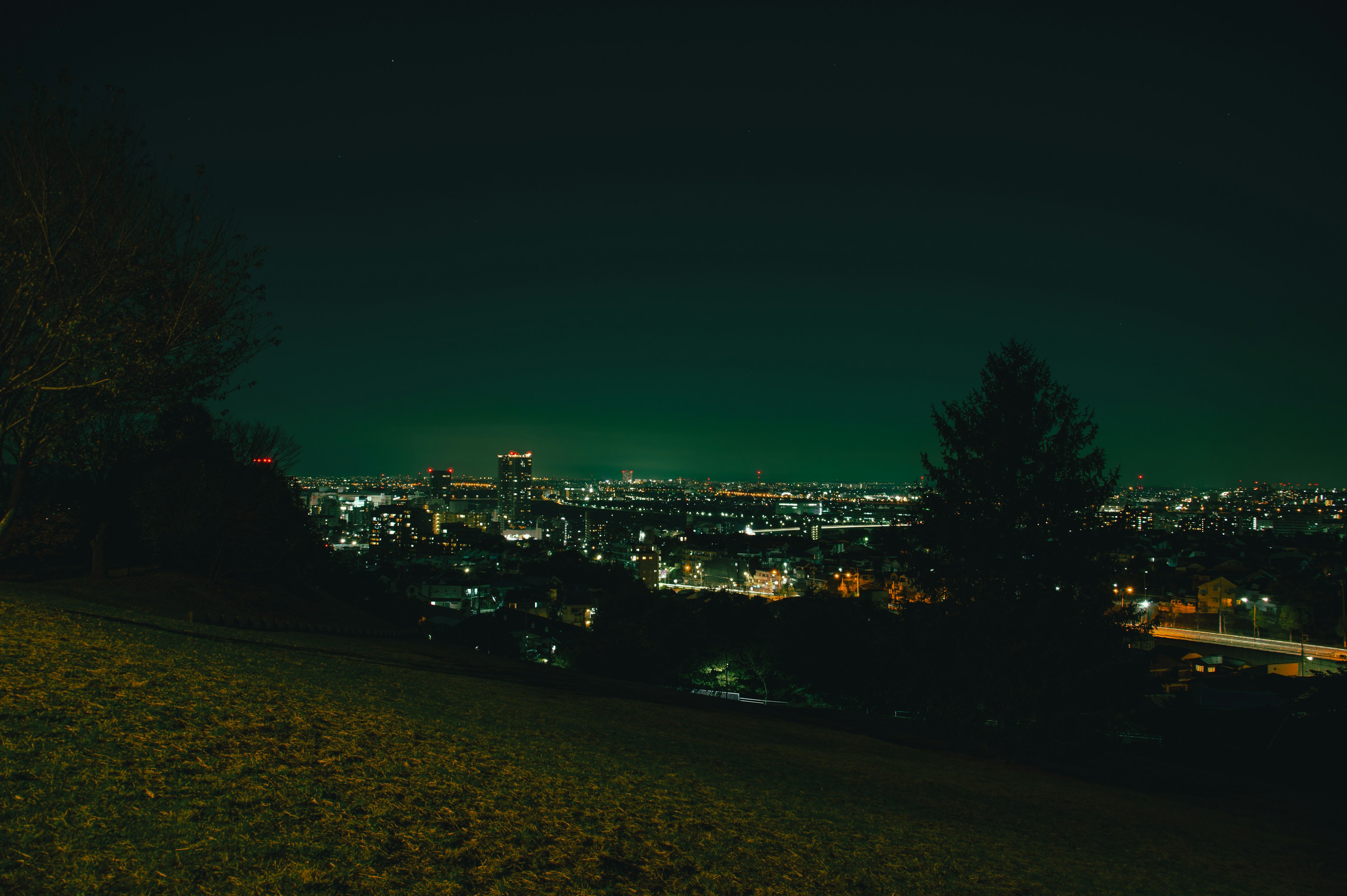 Vue nocturne d'une ville avec de l'herbe verte au premier plan