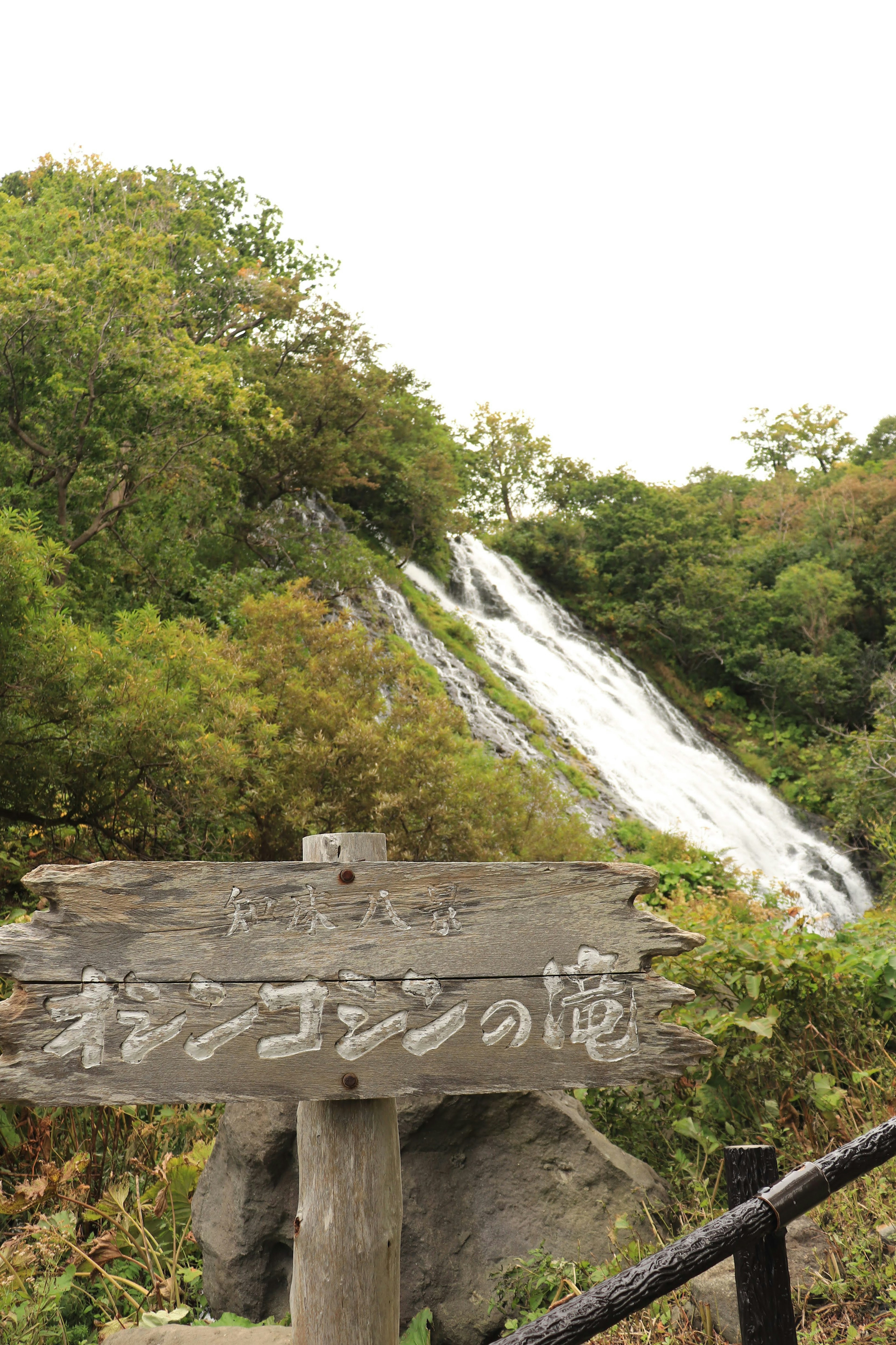 Cartello della cascata con vegetazione lussureggiante