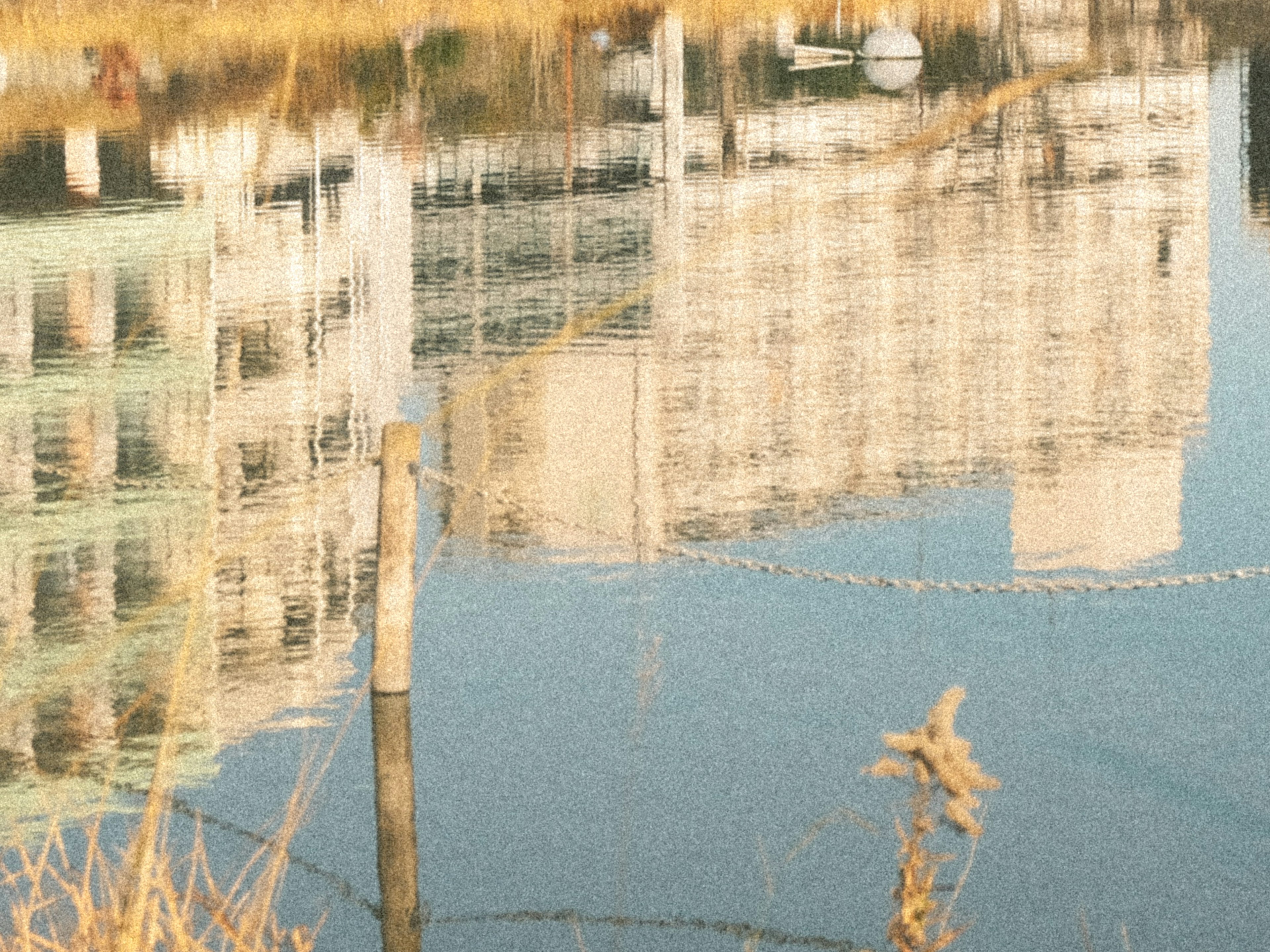 Riflesso di un edificio sull'acqua con natura circostante