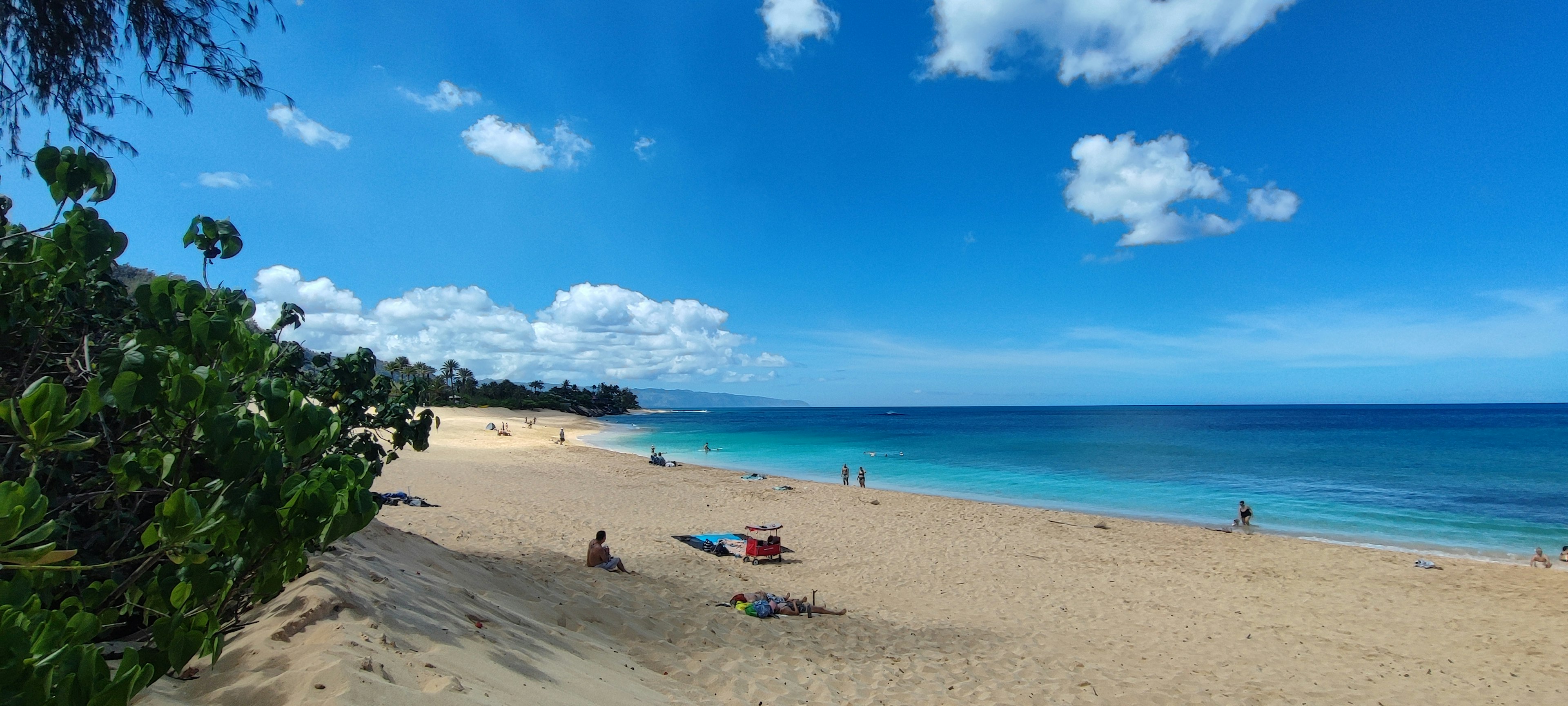 Una escena de playa con cielo azul y océano personas relajándose en la arena