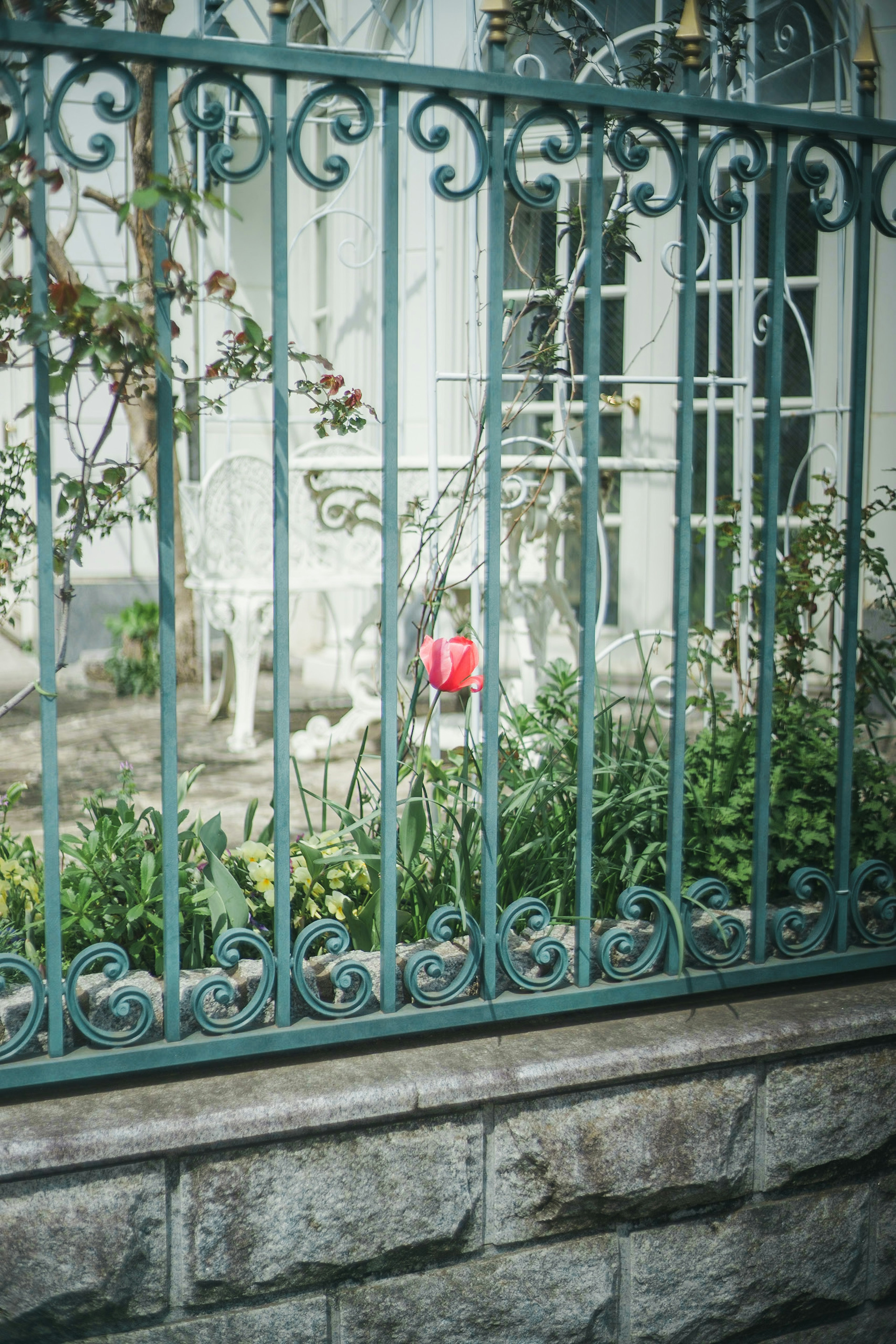 View through a green fence featuring a white chair and blooming flowers