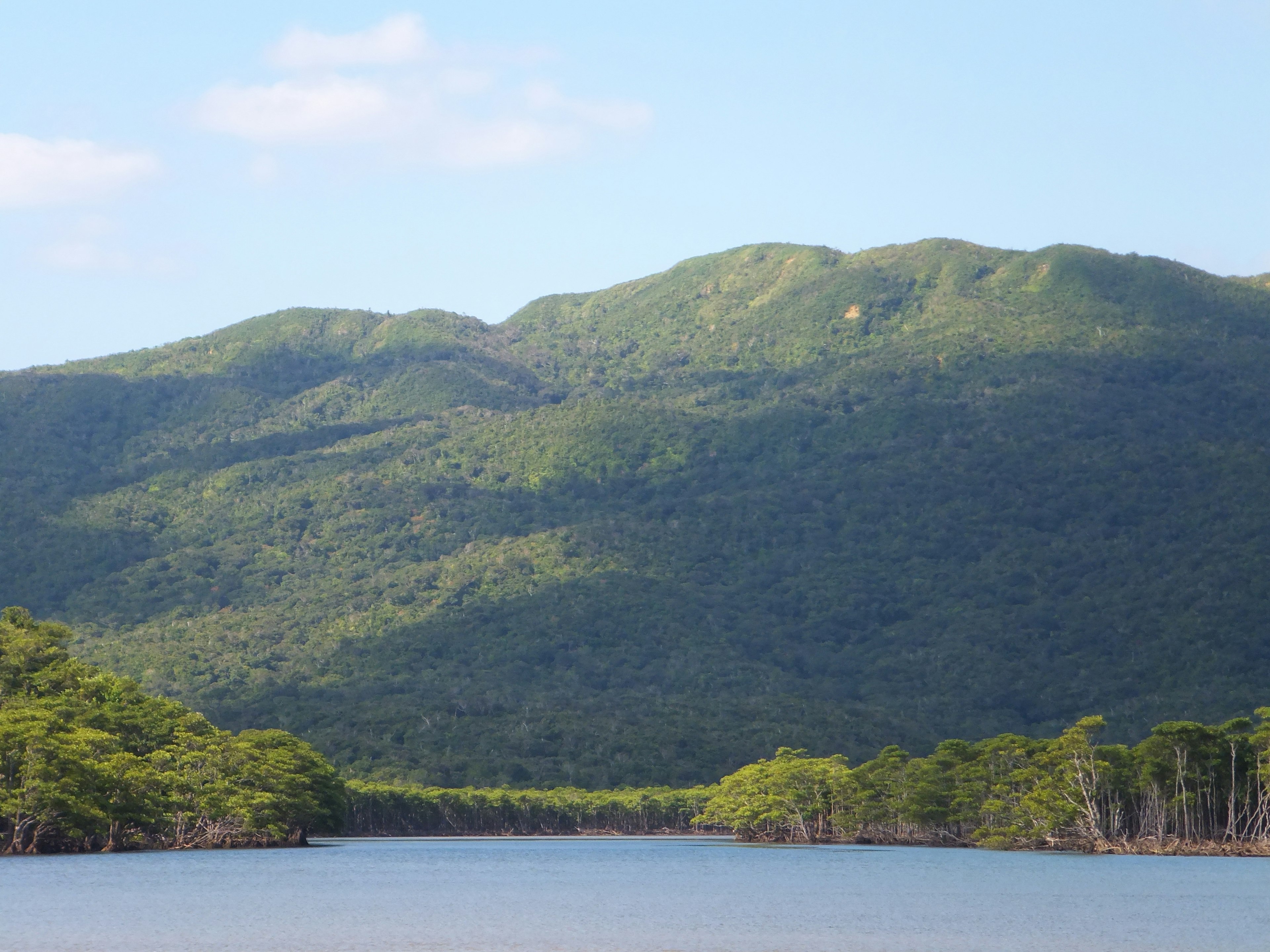 Lush green mountains and calm water landscape