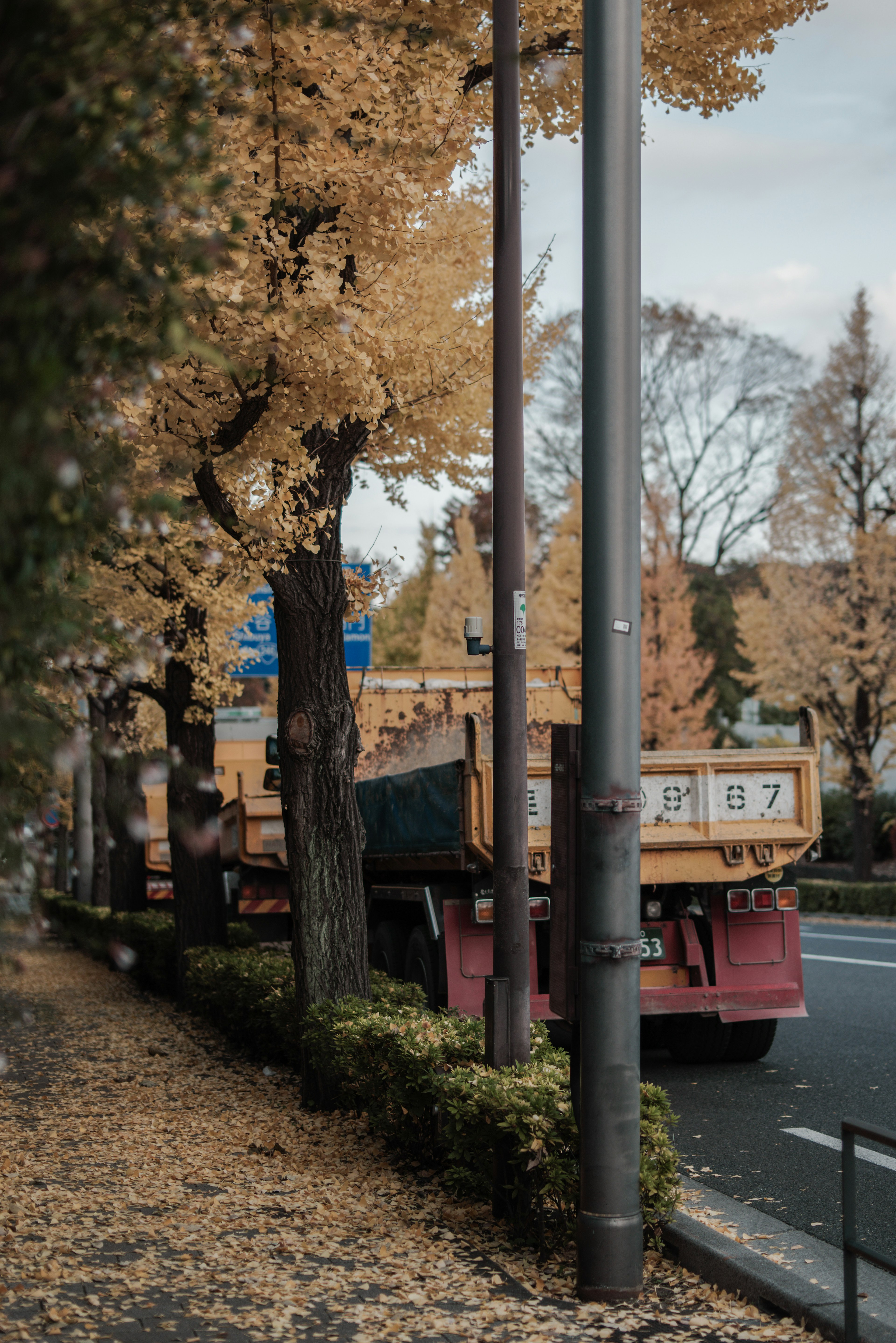 Camion garé le long d'une rue avec des feuilles d'automne au sol