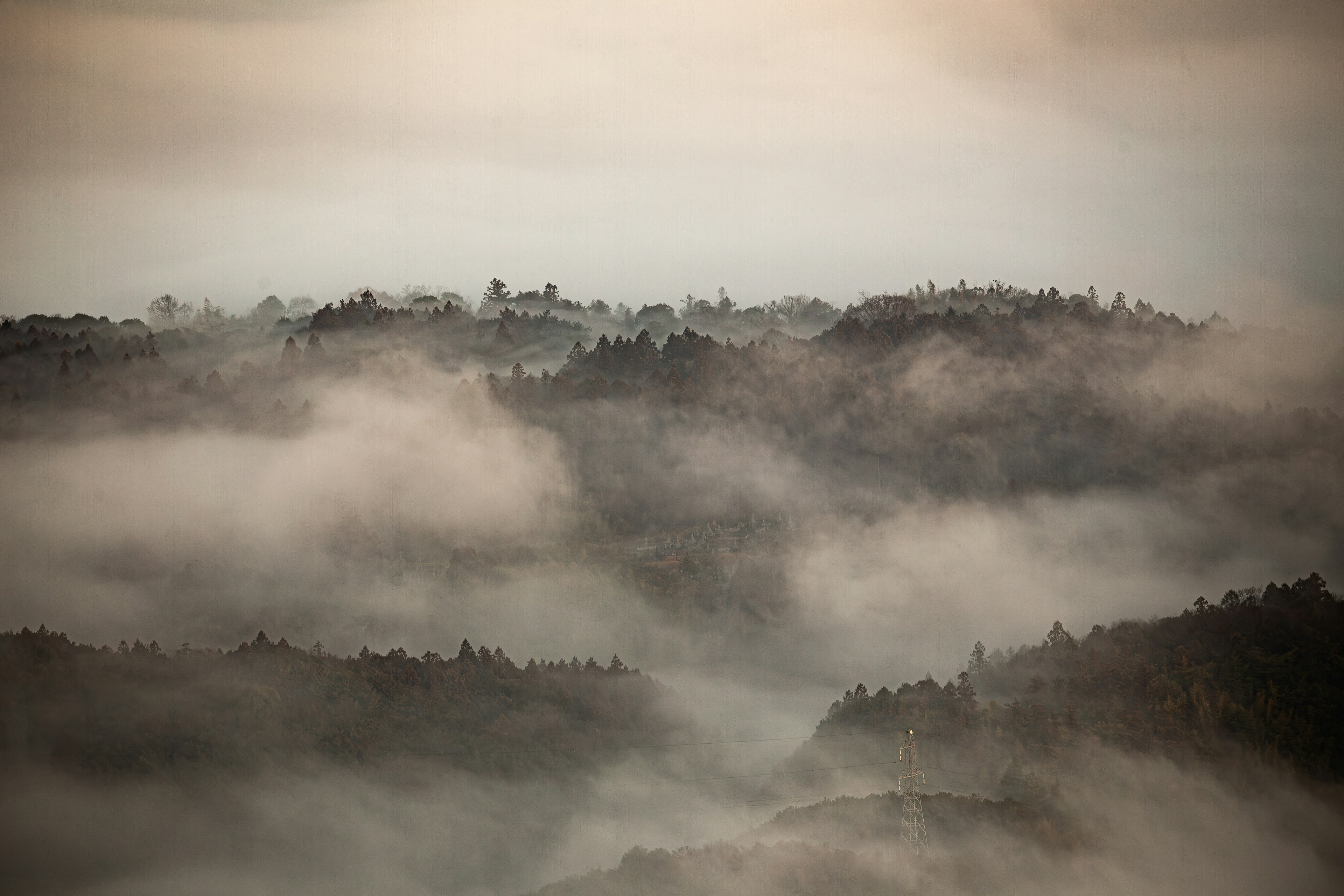 Paesaggio nebbioso con colline ondulate