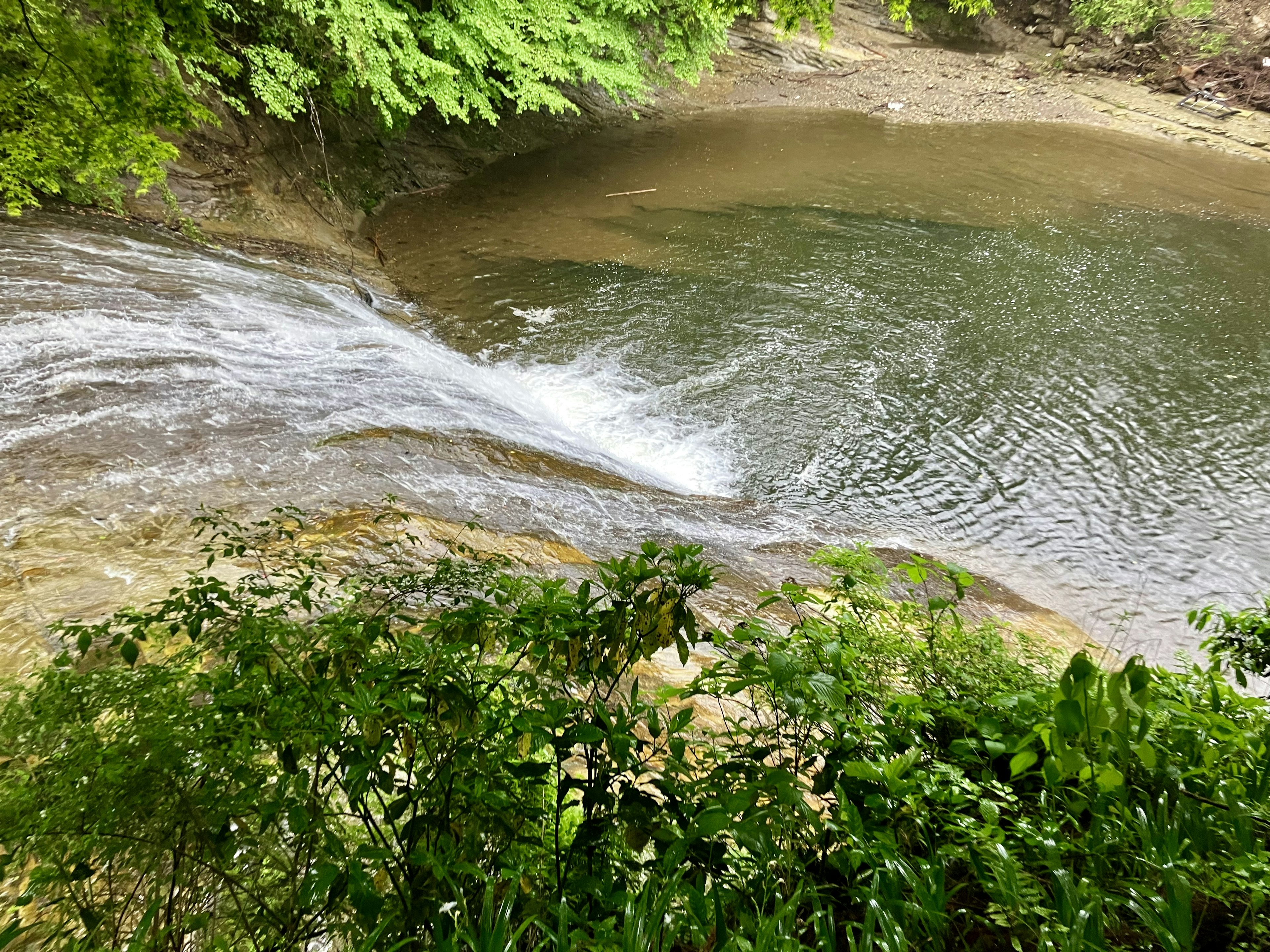 Schöner Wasserfall, der in einen ruhigen Teich fließt, umgeben von grünem Laub