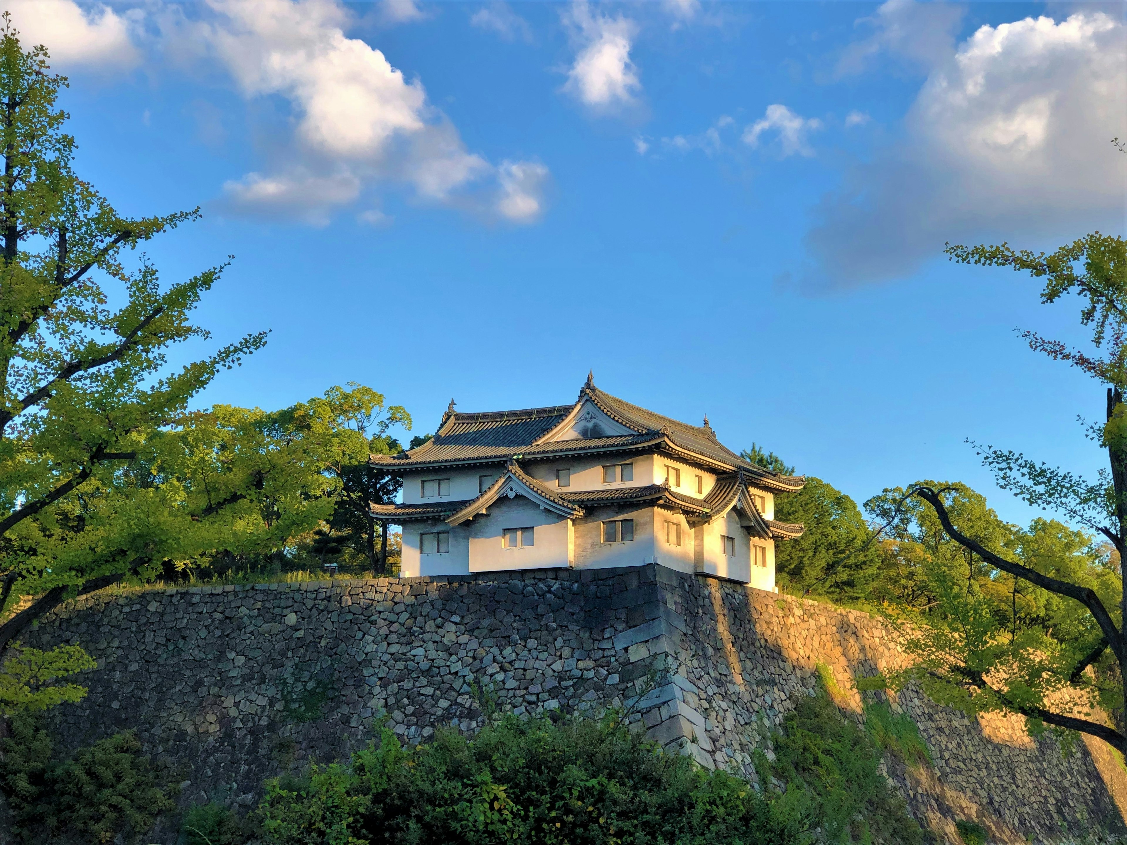 Un château sous un beau ciel bleu entouré d'arbres verts avec des murs blancs