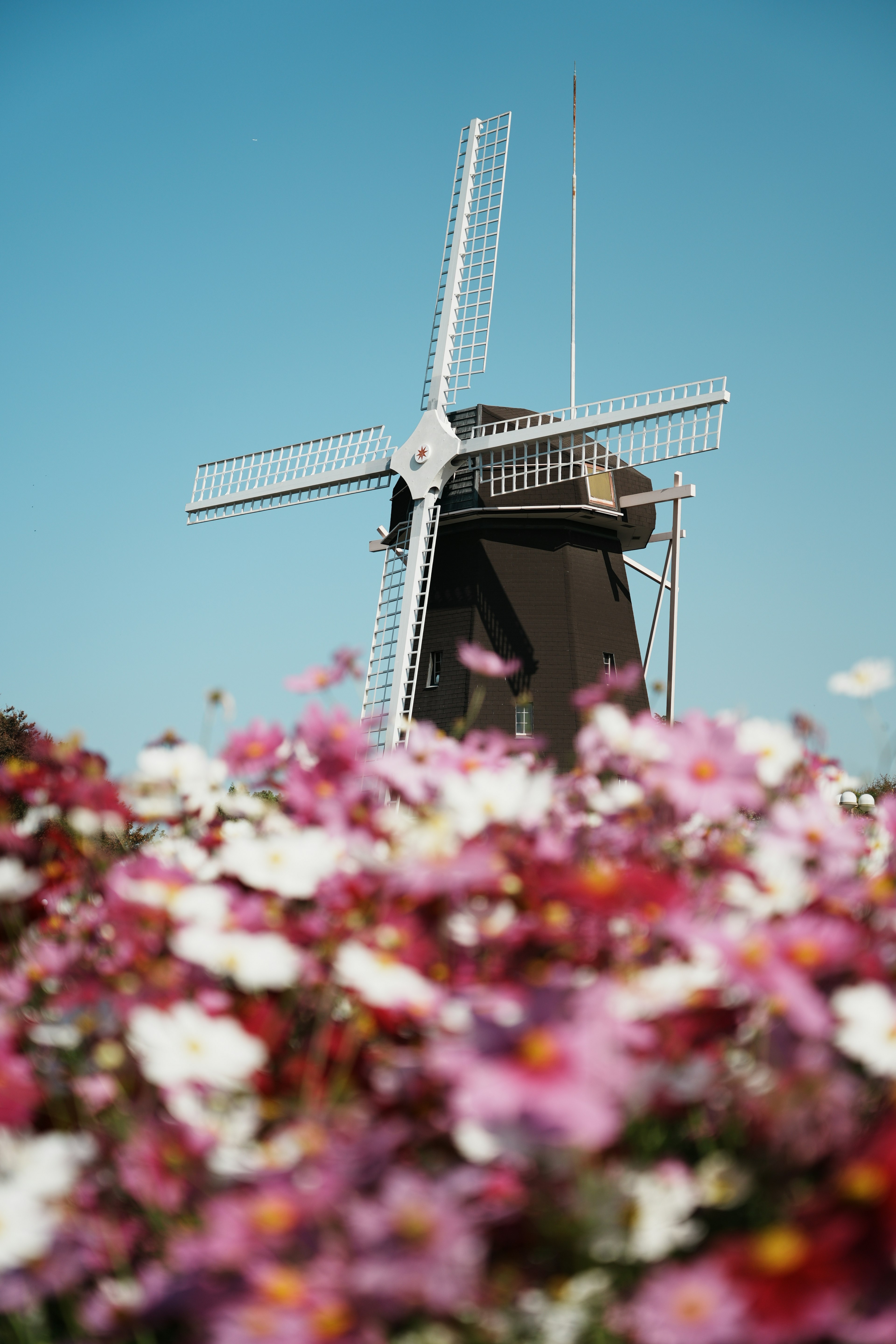 Un molino de viento rodeado de flores coloridas bajo un cielo azul claro