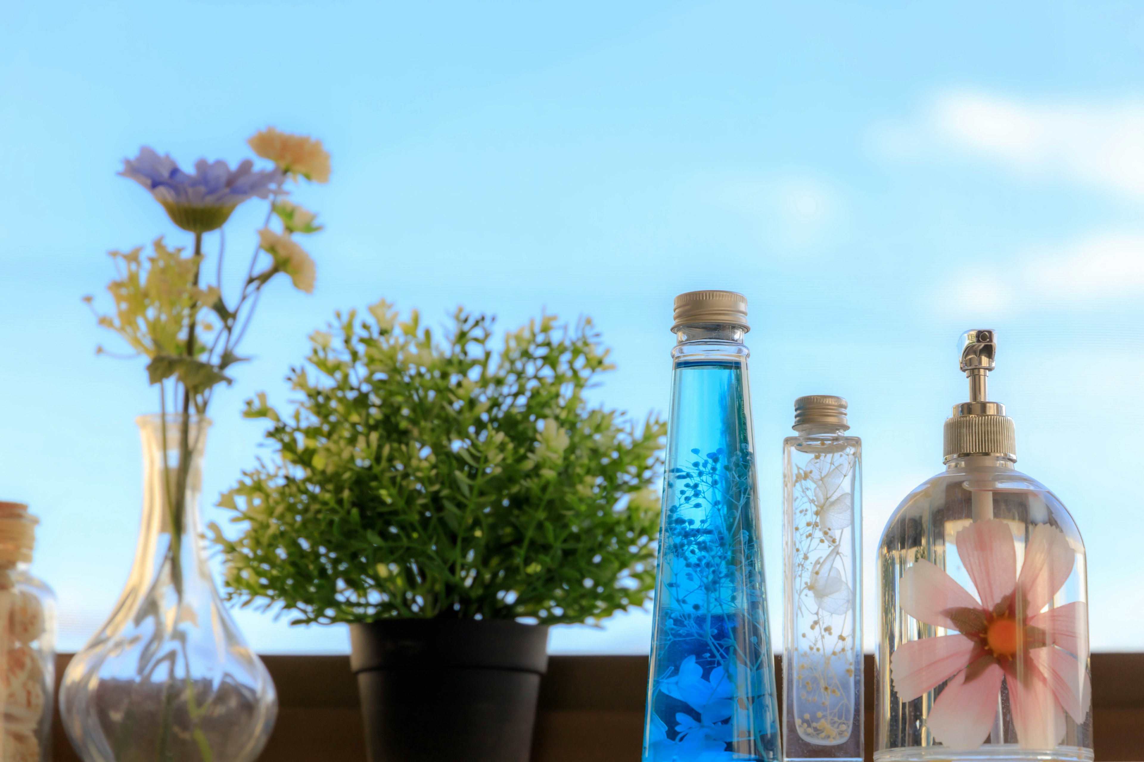 Arrangement of colorful bottles and a small plant against a blue sky