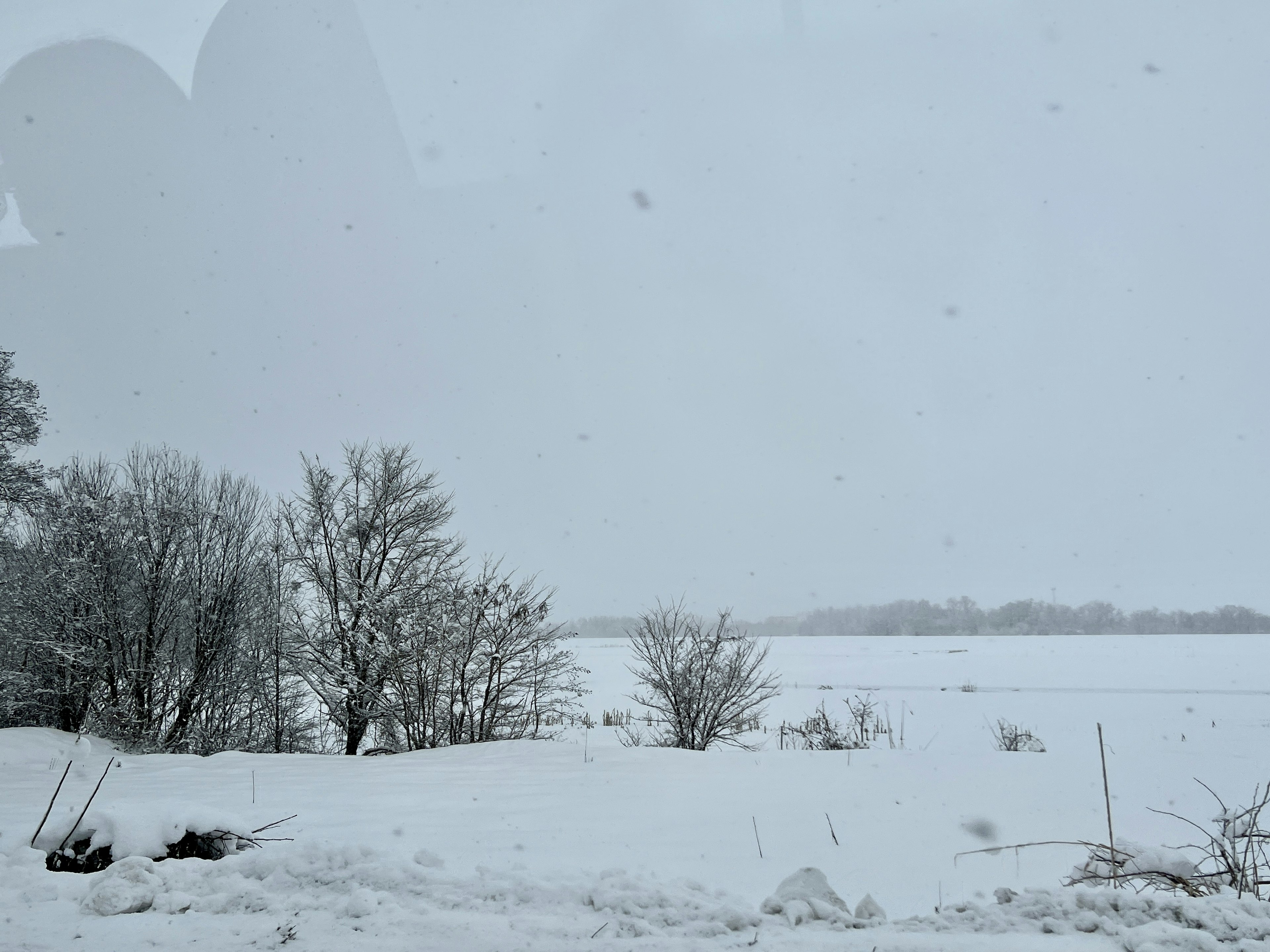 Snow-covered landscape with silhouettes of trees