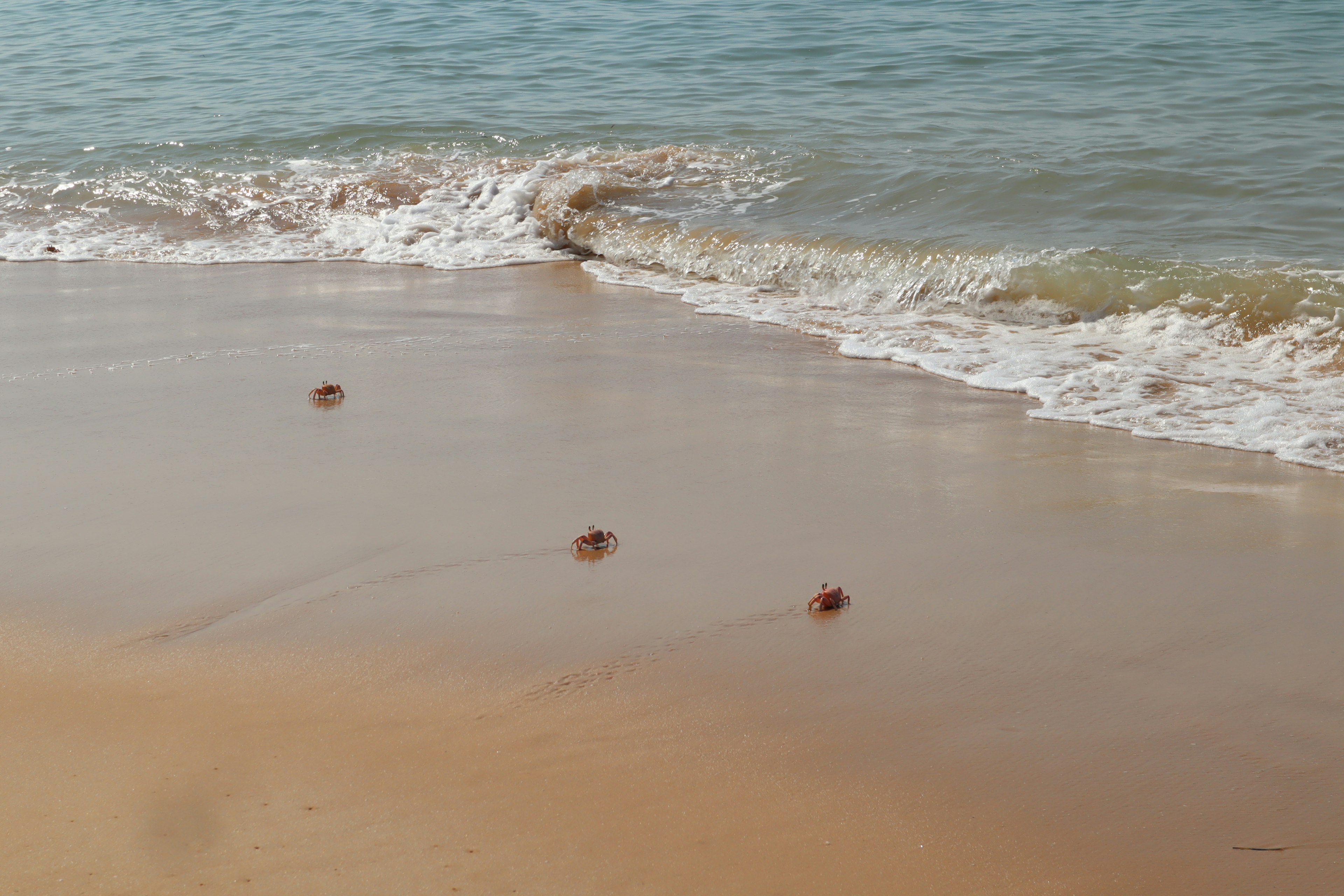 Piccoli oggetti rotondi su una spiaggia sabbiosa con onde leggere