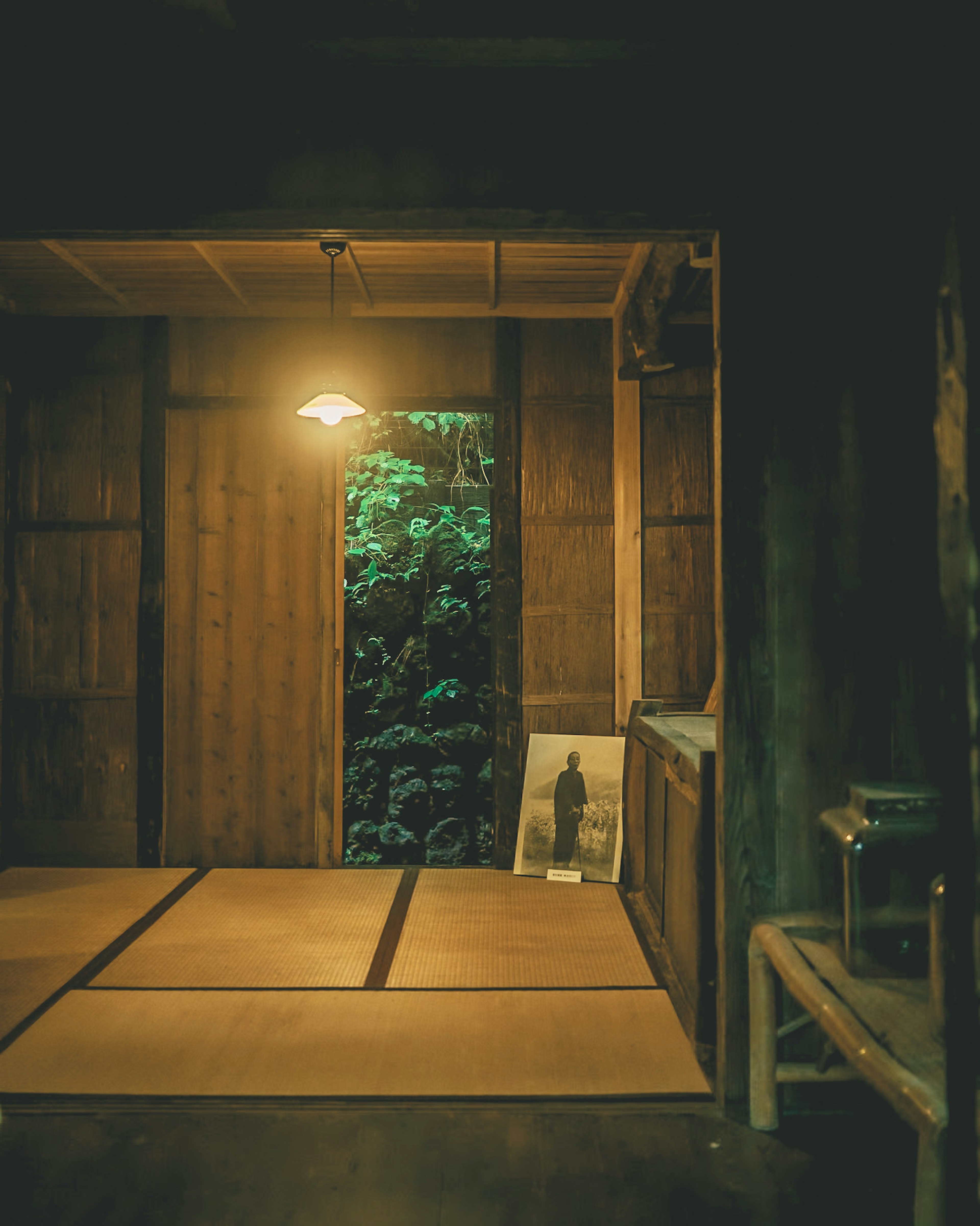 A room with wooden walls and tatami mats showing a view of green nature through the entrance