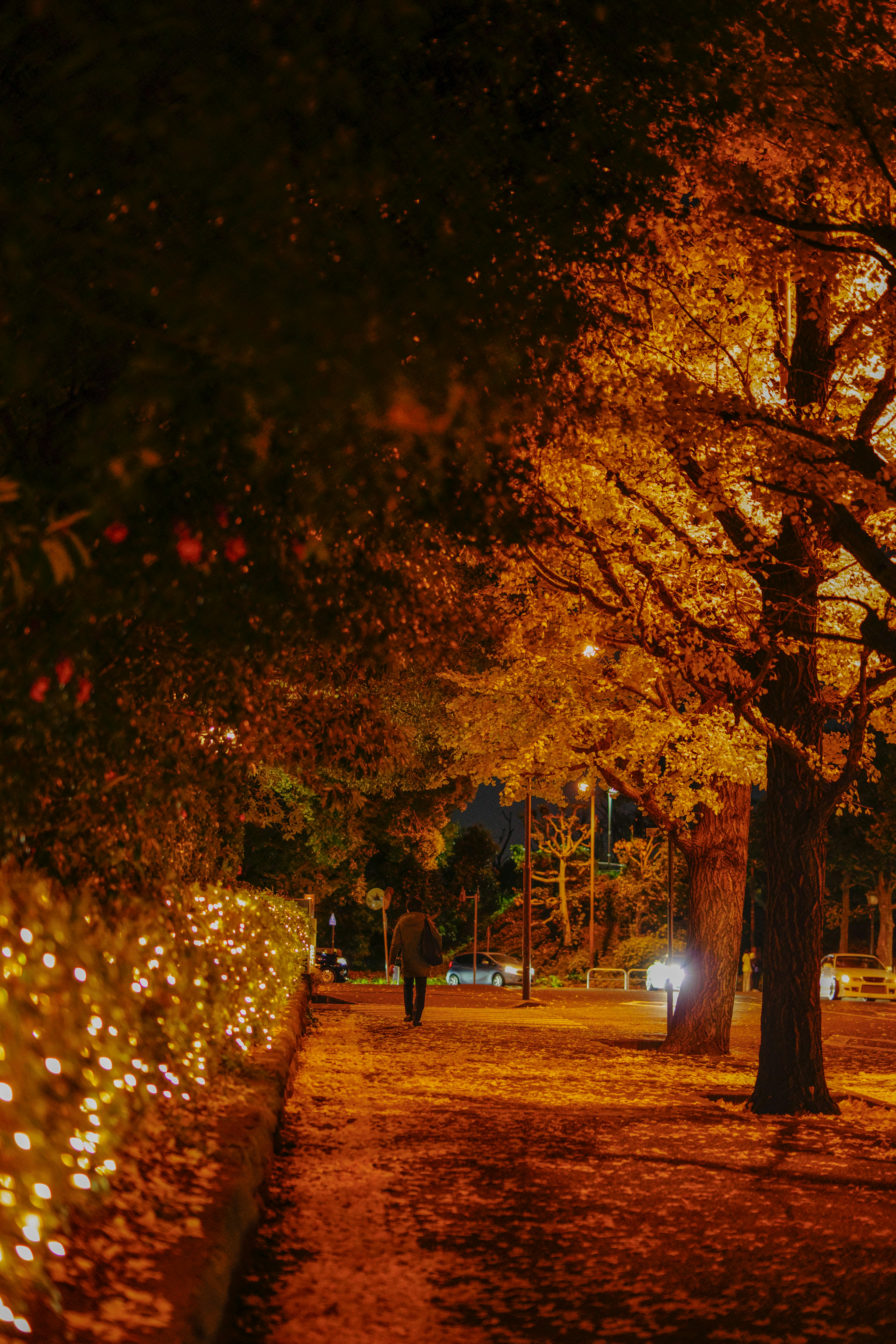 A tranquil autumn walkway illuminated by warm orange lights